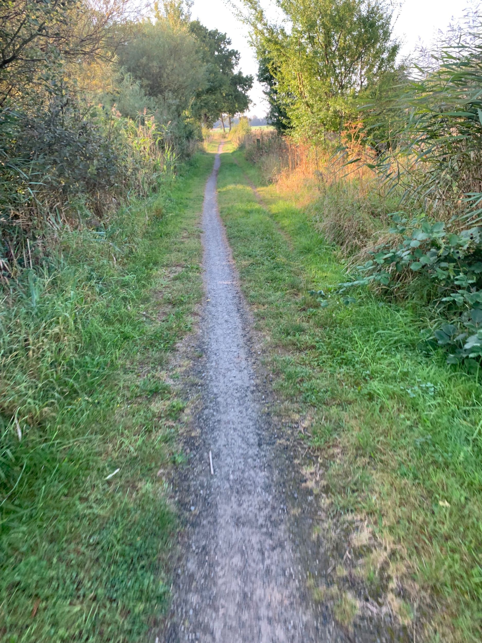 IMG_1782.jpeg