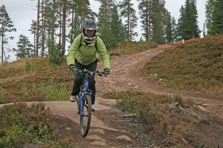 IMG_18191.JPG ht=483