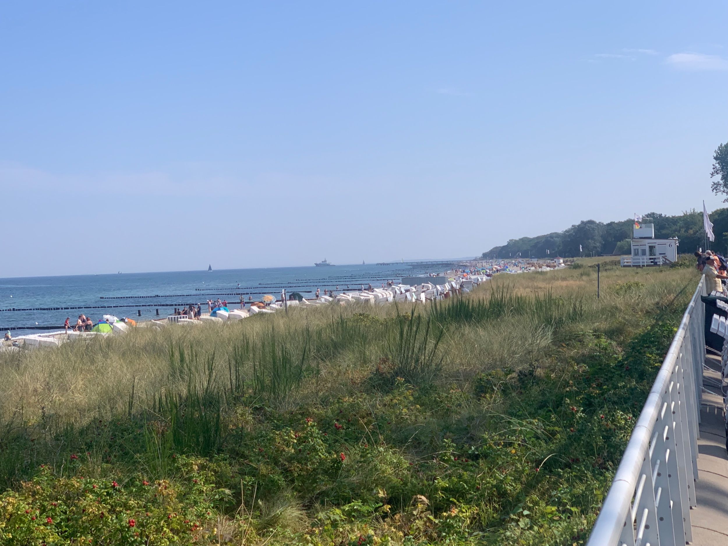 IMG_1872.jpeg
