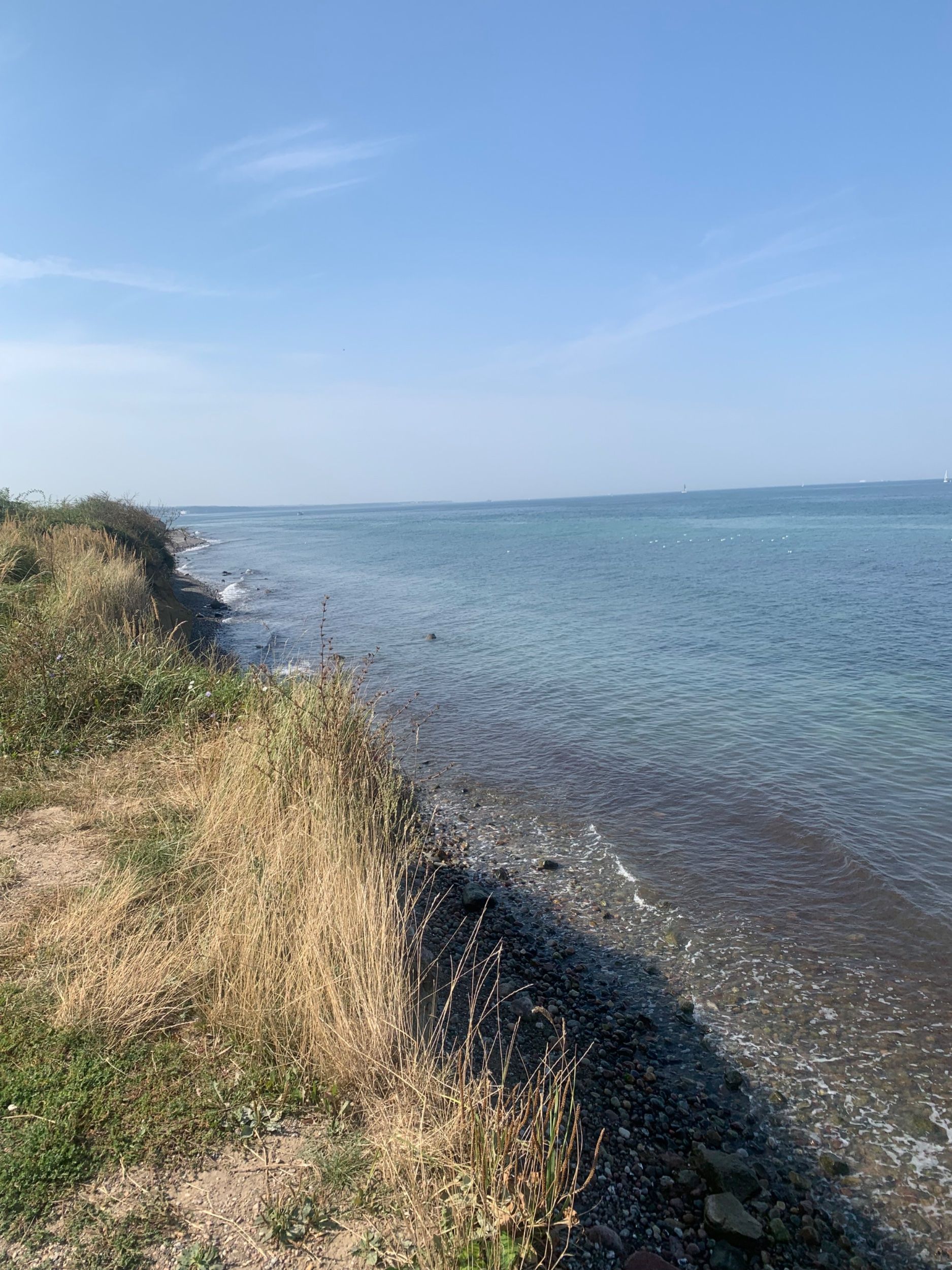 IMG_1882.jpeg