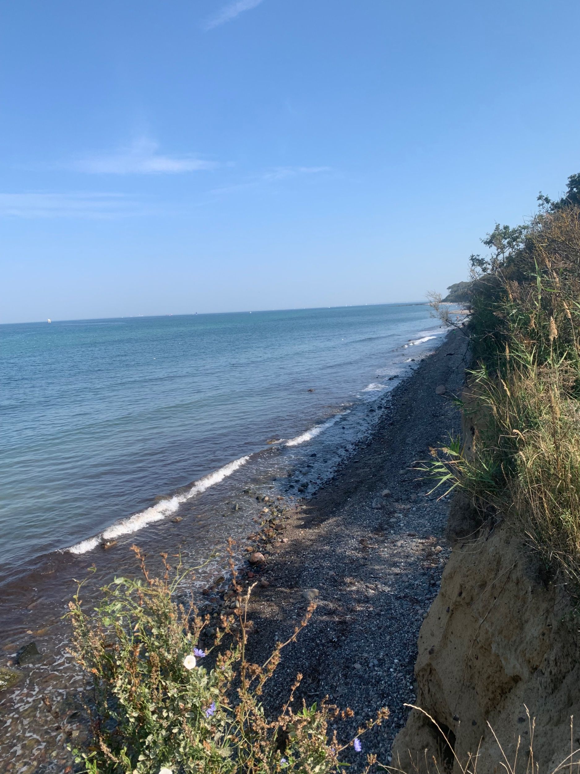 IMG_1883.jpeg