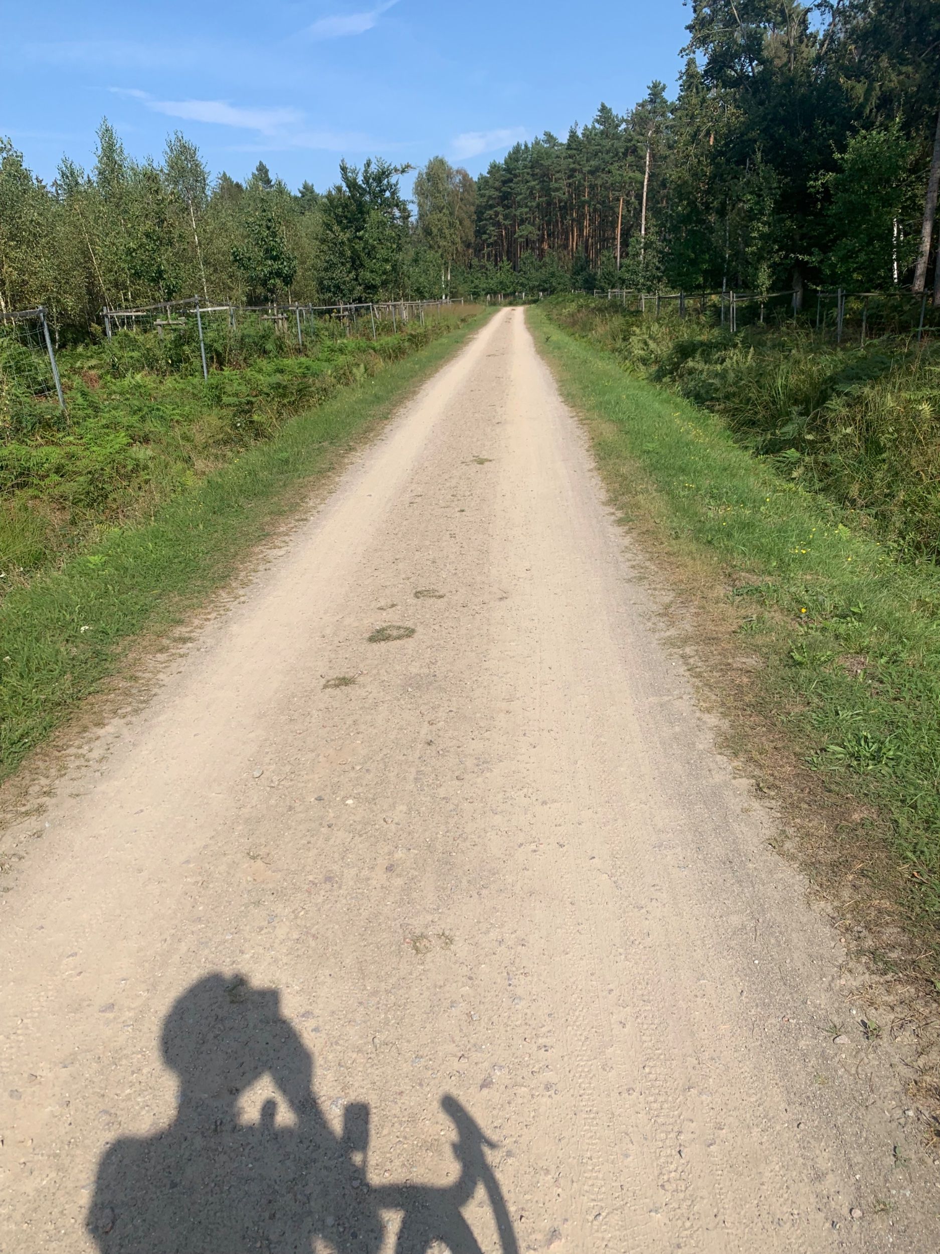 IMG_1906.jpeg