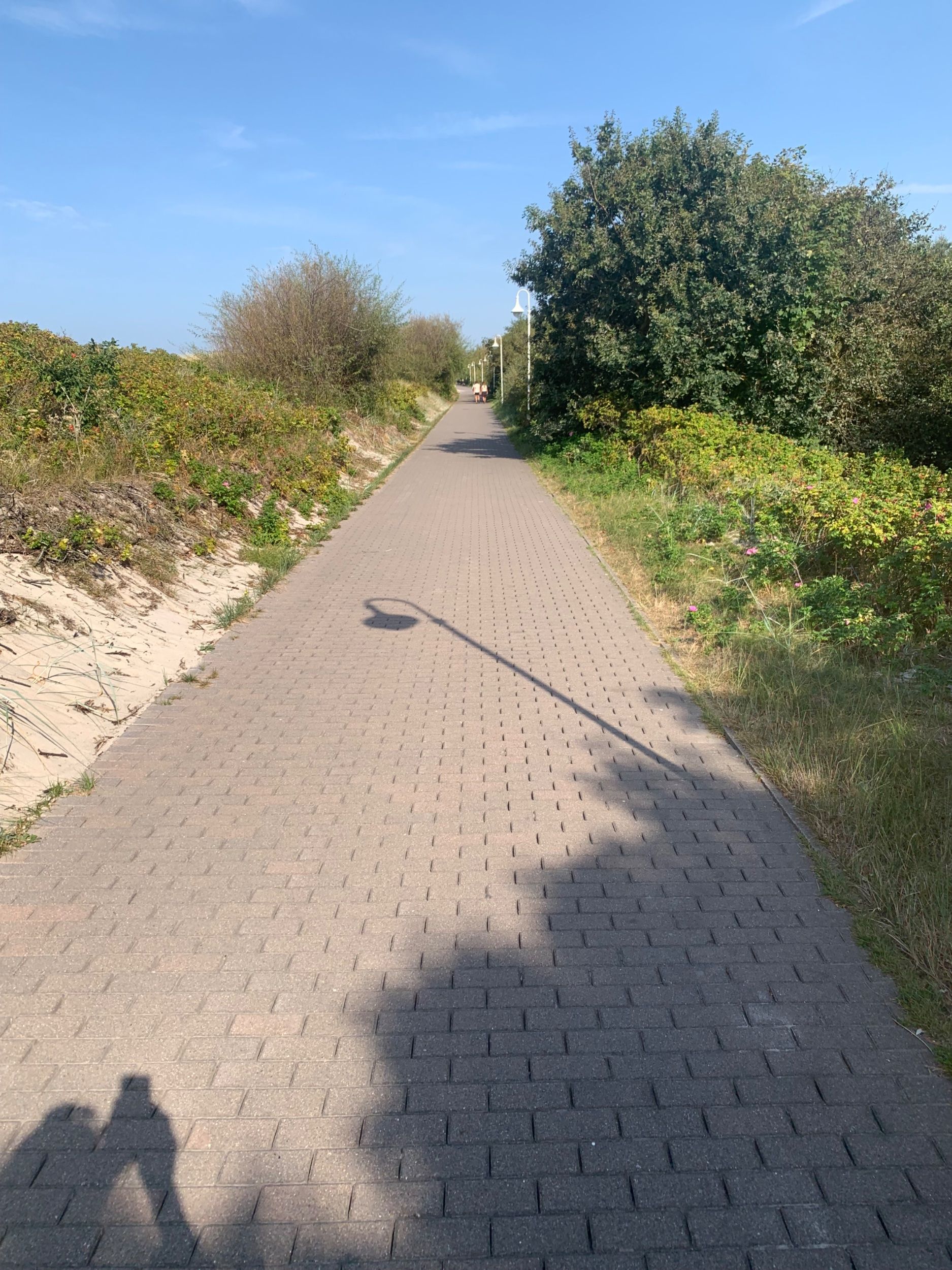 IMG_1908.jpeg