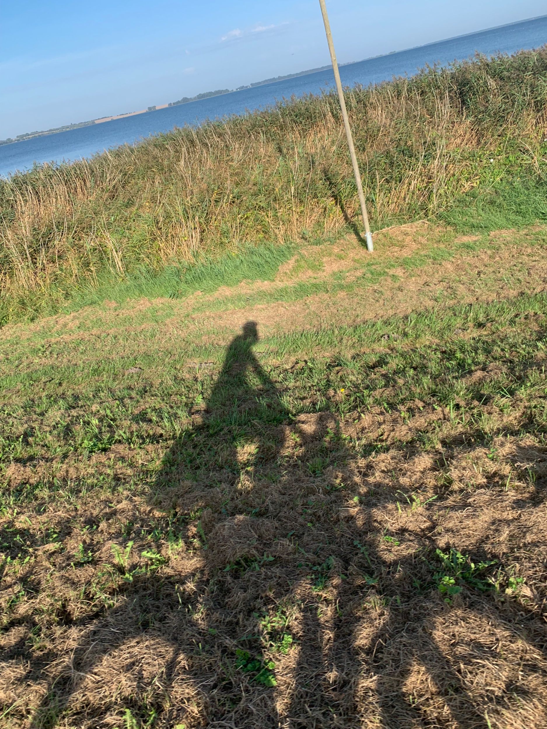 IMG_1951.jpeg