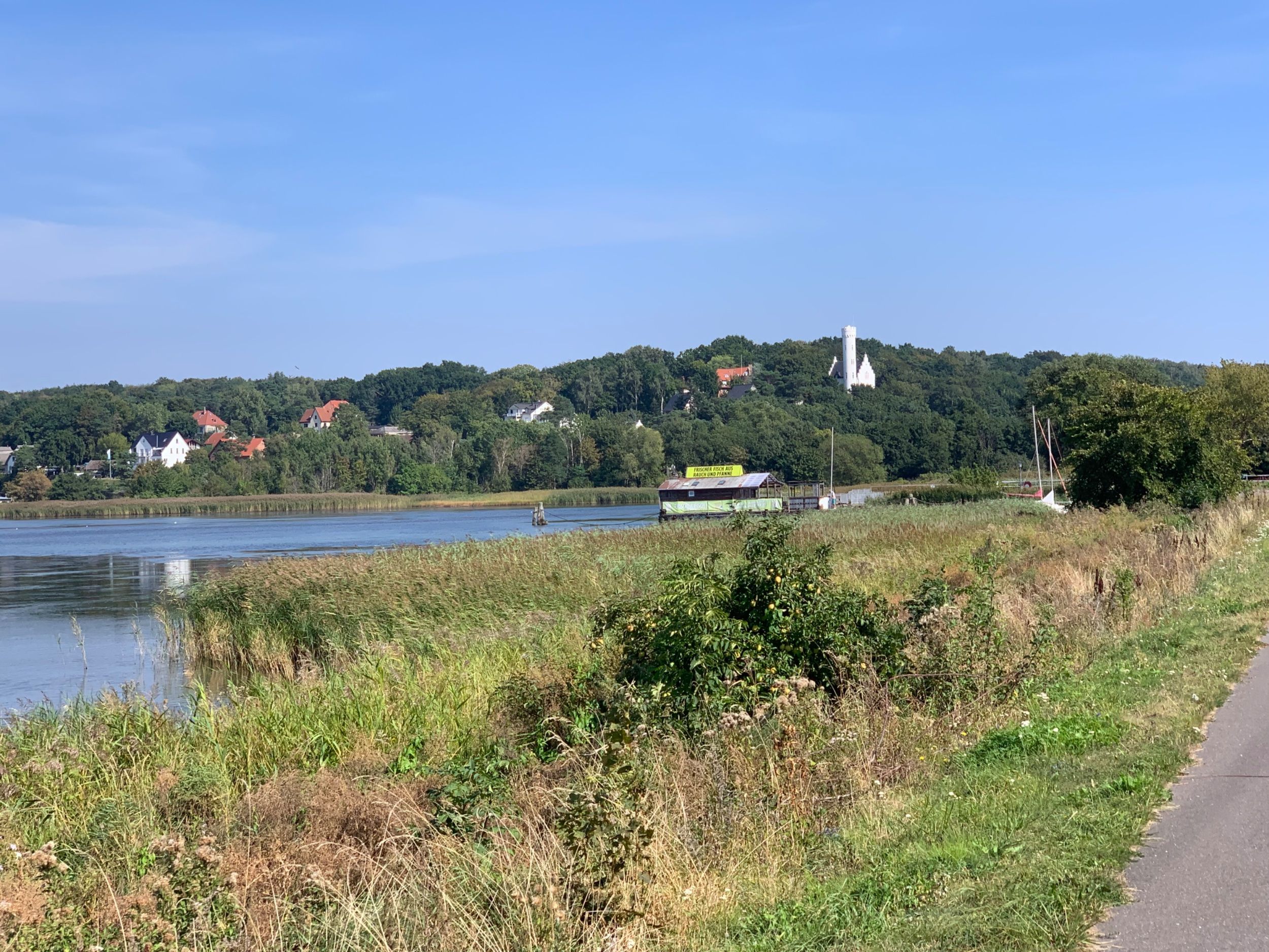 IMG_1974.jpeg