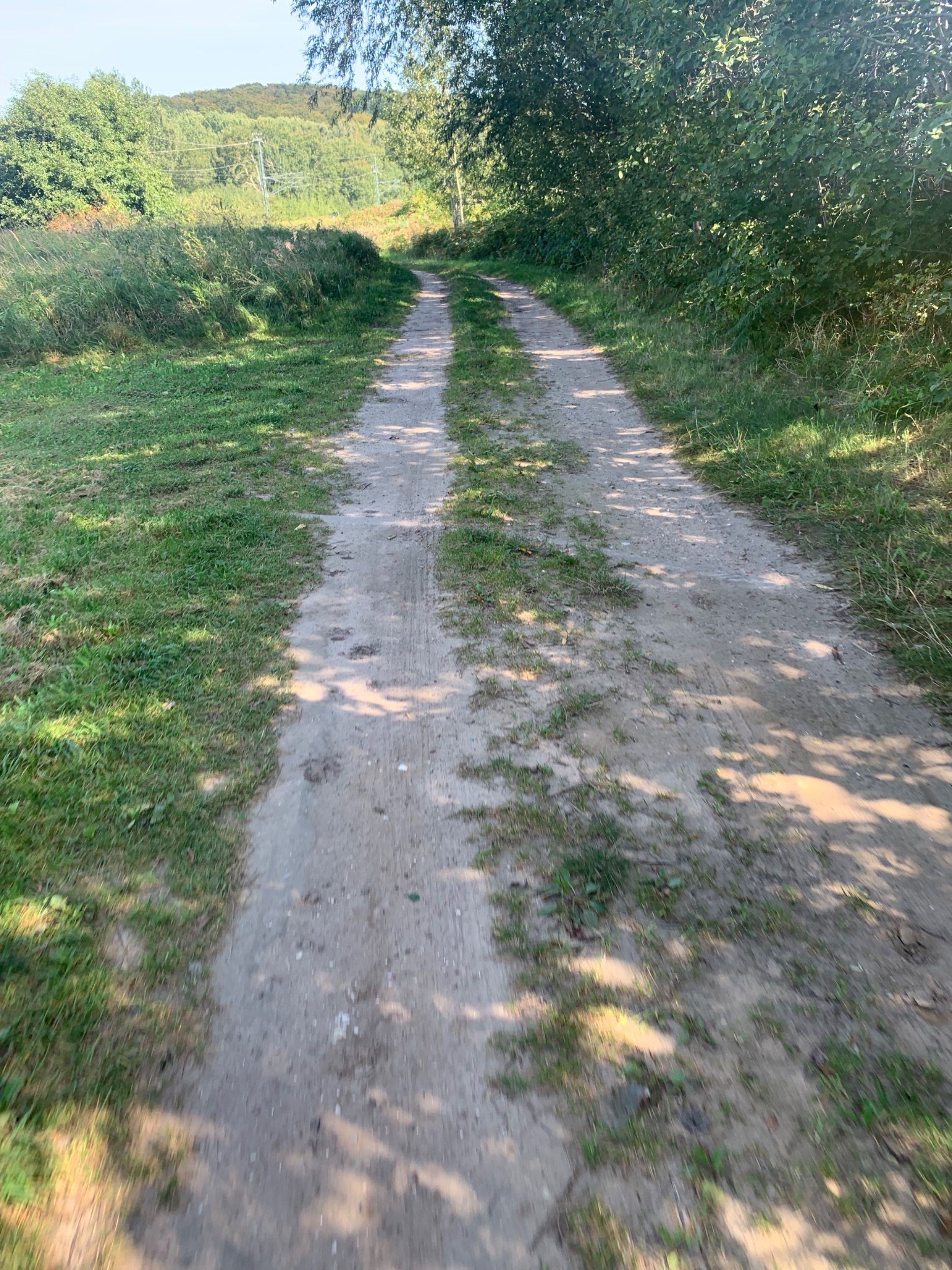 IMG_1982.jpeg