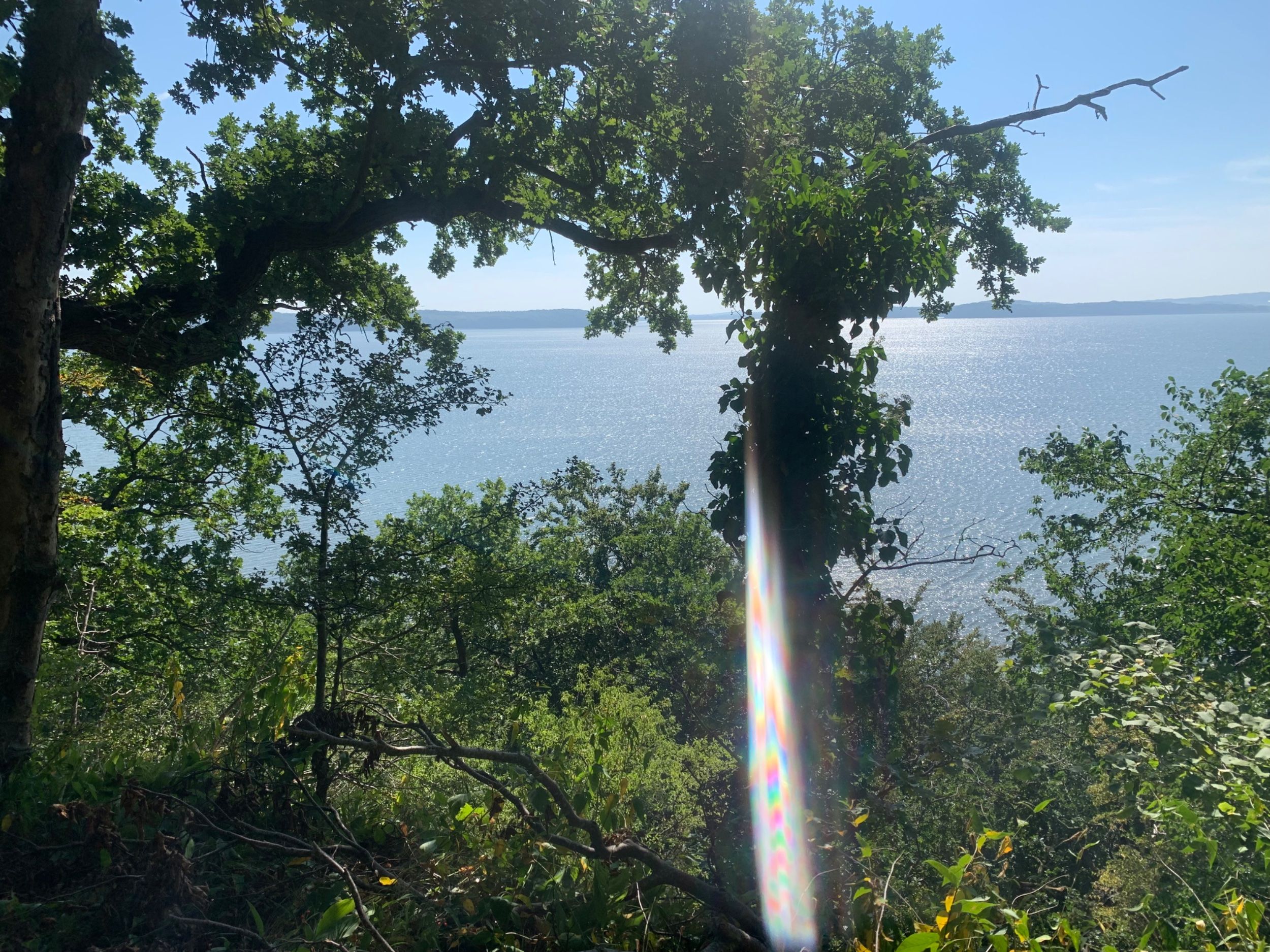 IMG_1989.jpeg