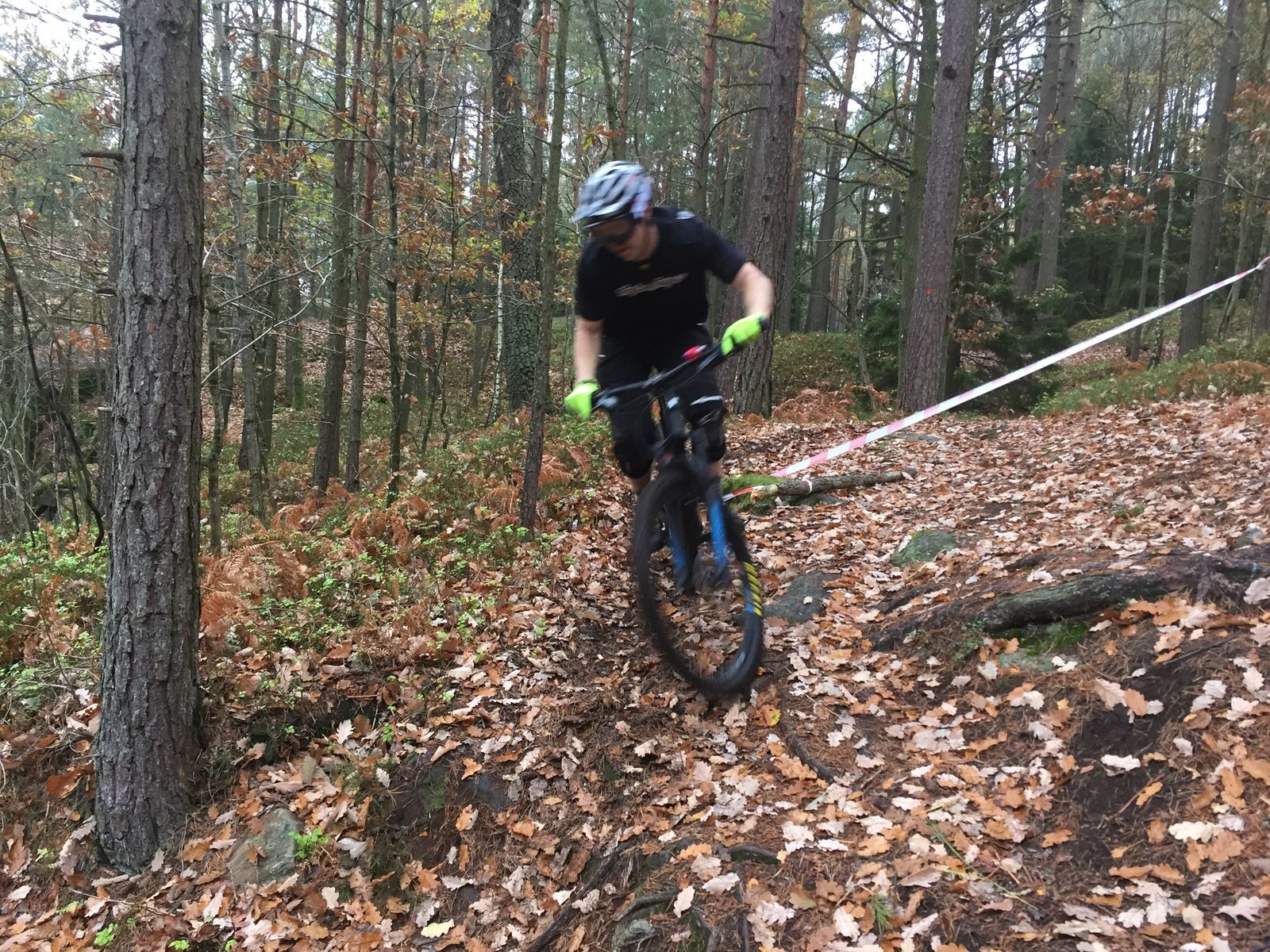 IMG_2012.JPG