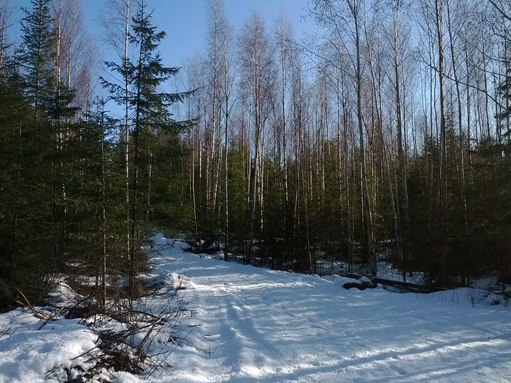 IMG_20120223_131430.jpg
