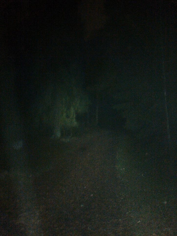 IMG_20121029_172328.jpg