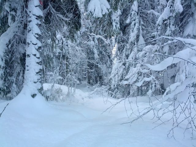 IMG_20121208_115645.jpg