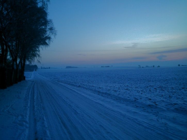 IMG_20130116_105625-732724.jpg
