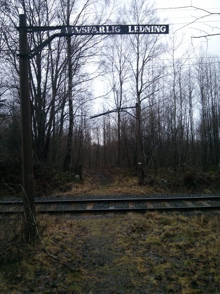 IMG_20140104_134613.jpg