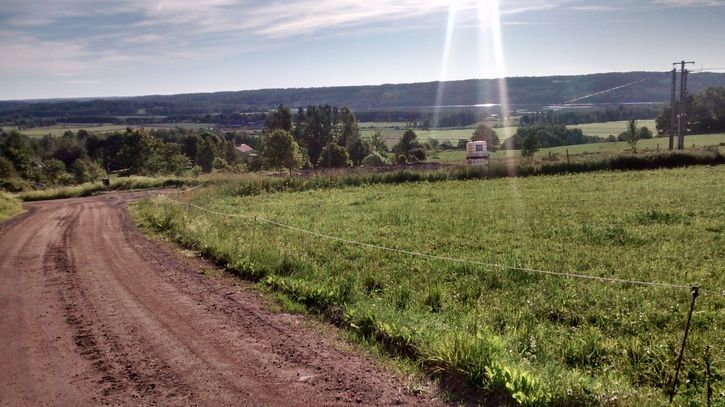 IMG_20140618_065137177_HDR1.jpg