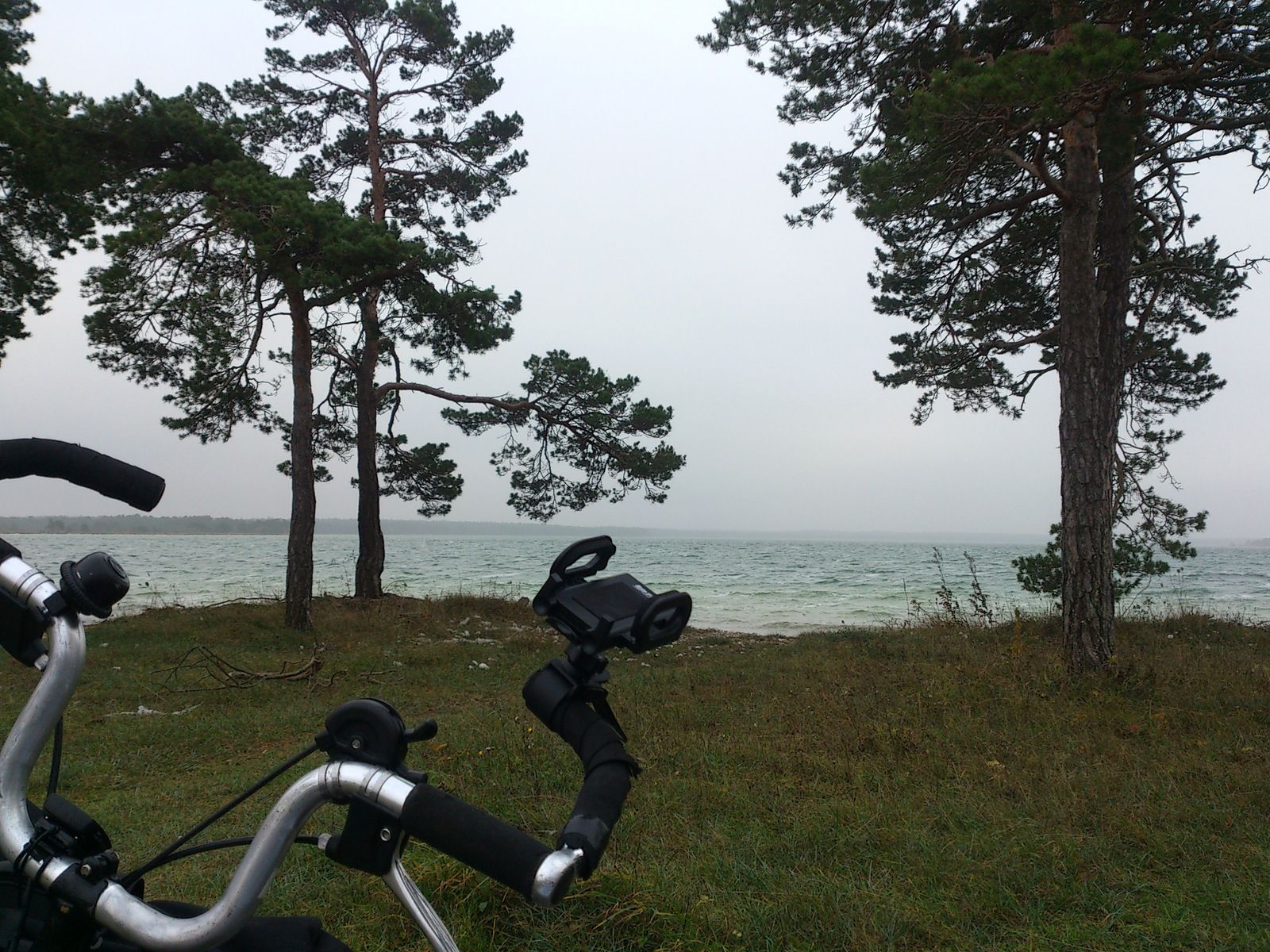 IMG_20141102_140946.jpg