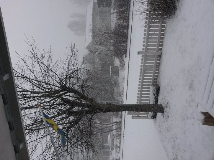 IMG_20150321_072943.jpg