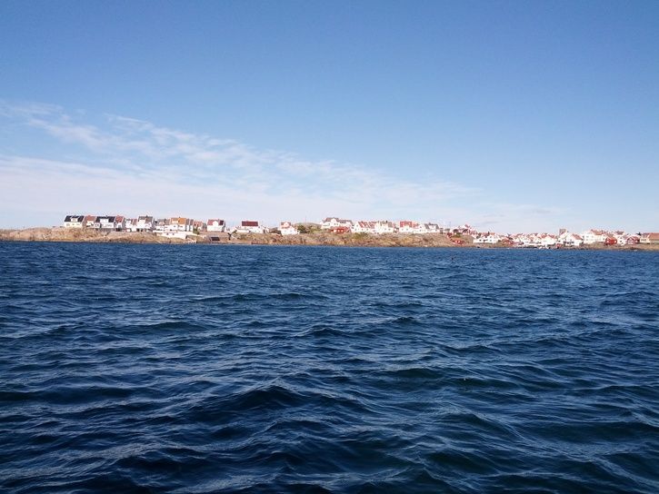 IMG_20150920_140209.jpg