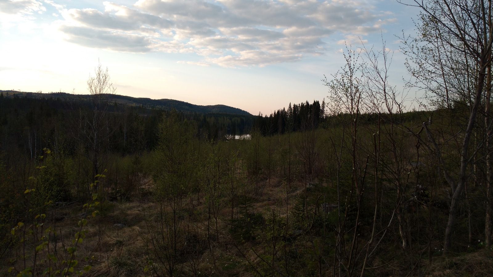 IMG_20160508_195429784.jpg