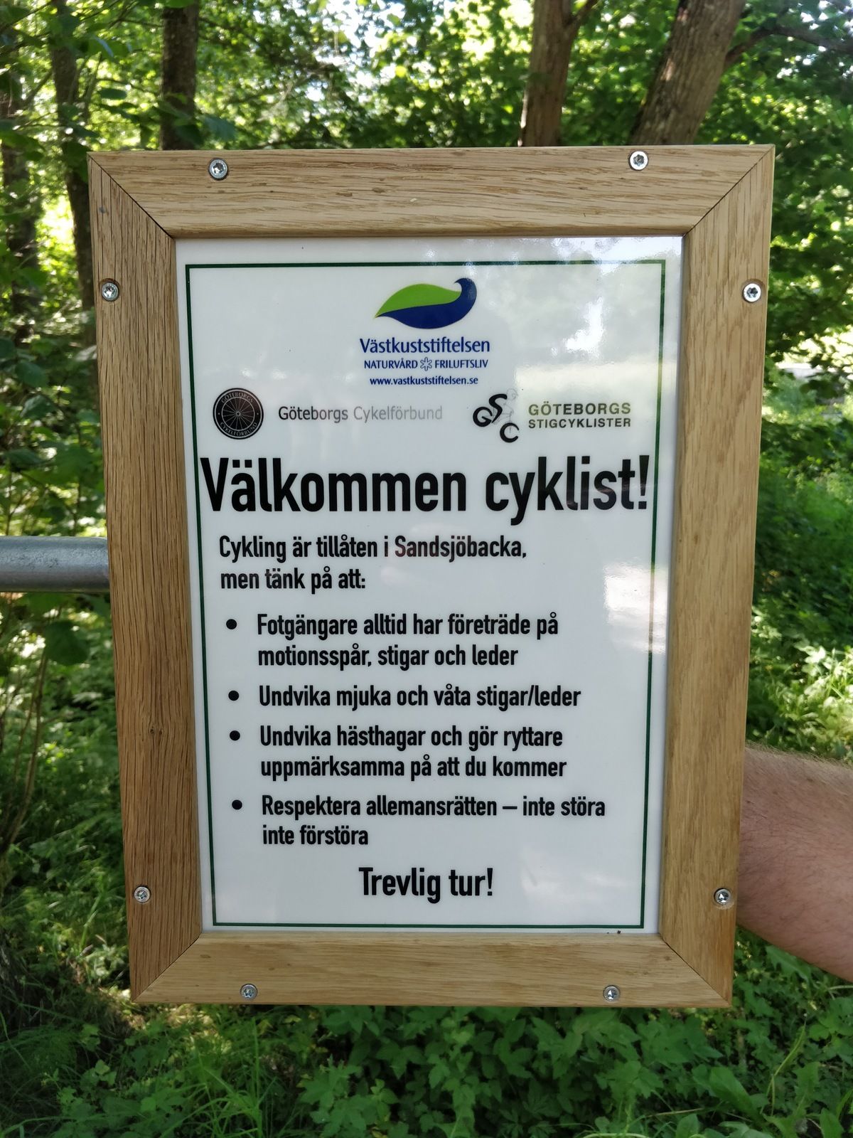 IMG_20180608_145140.jpg