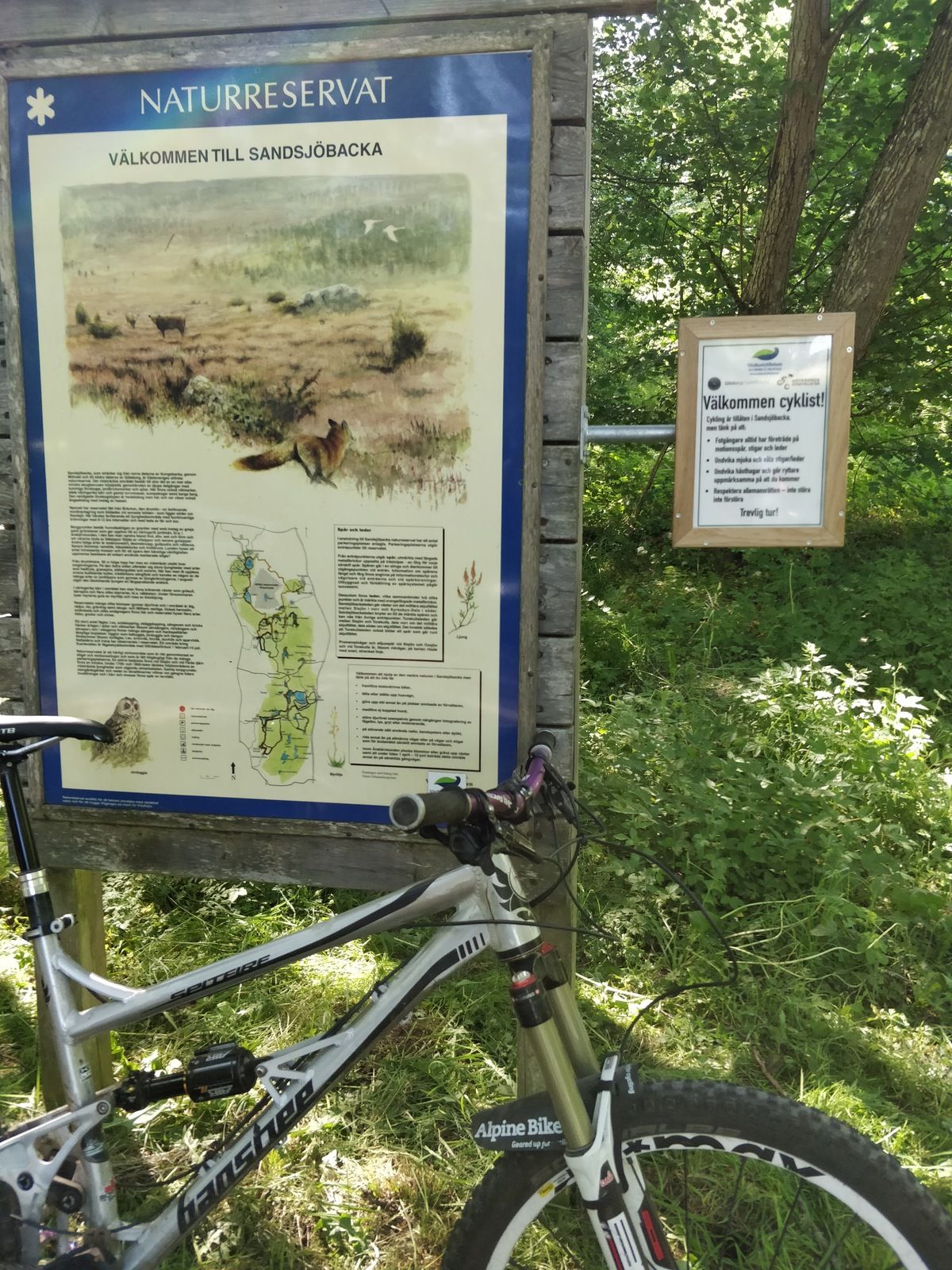 IMG_20180608_155531.jpg