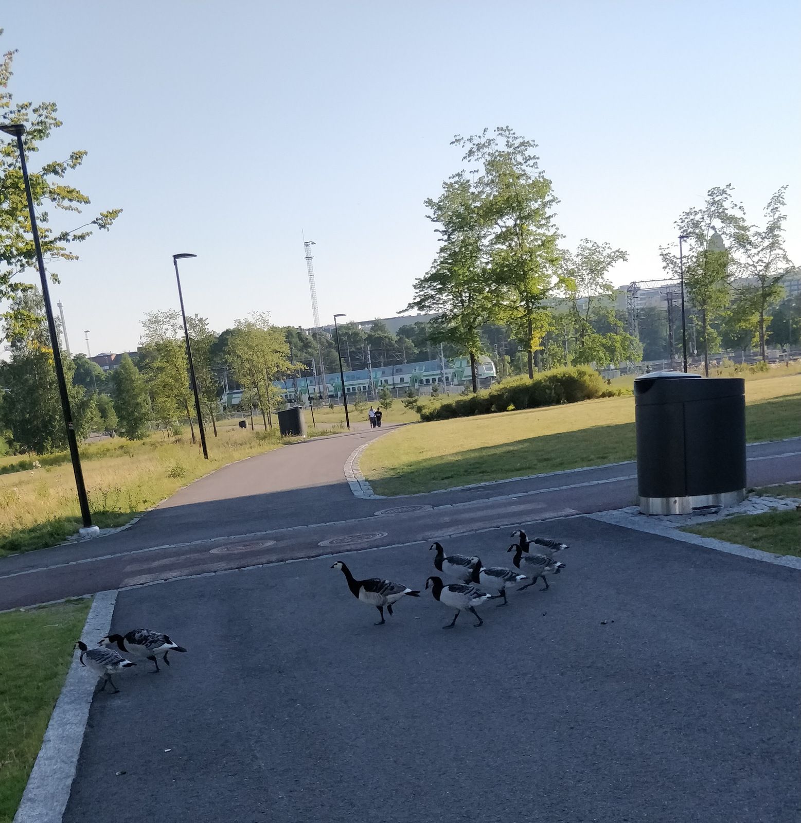 IMG_20180717_074149.jpg