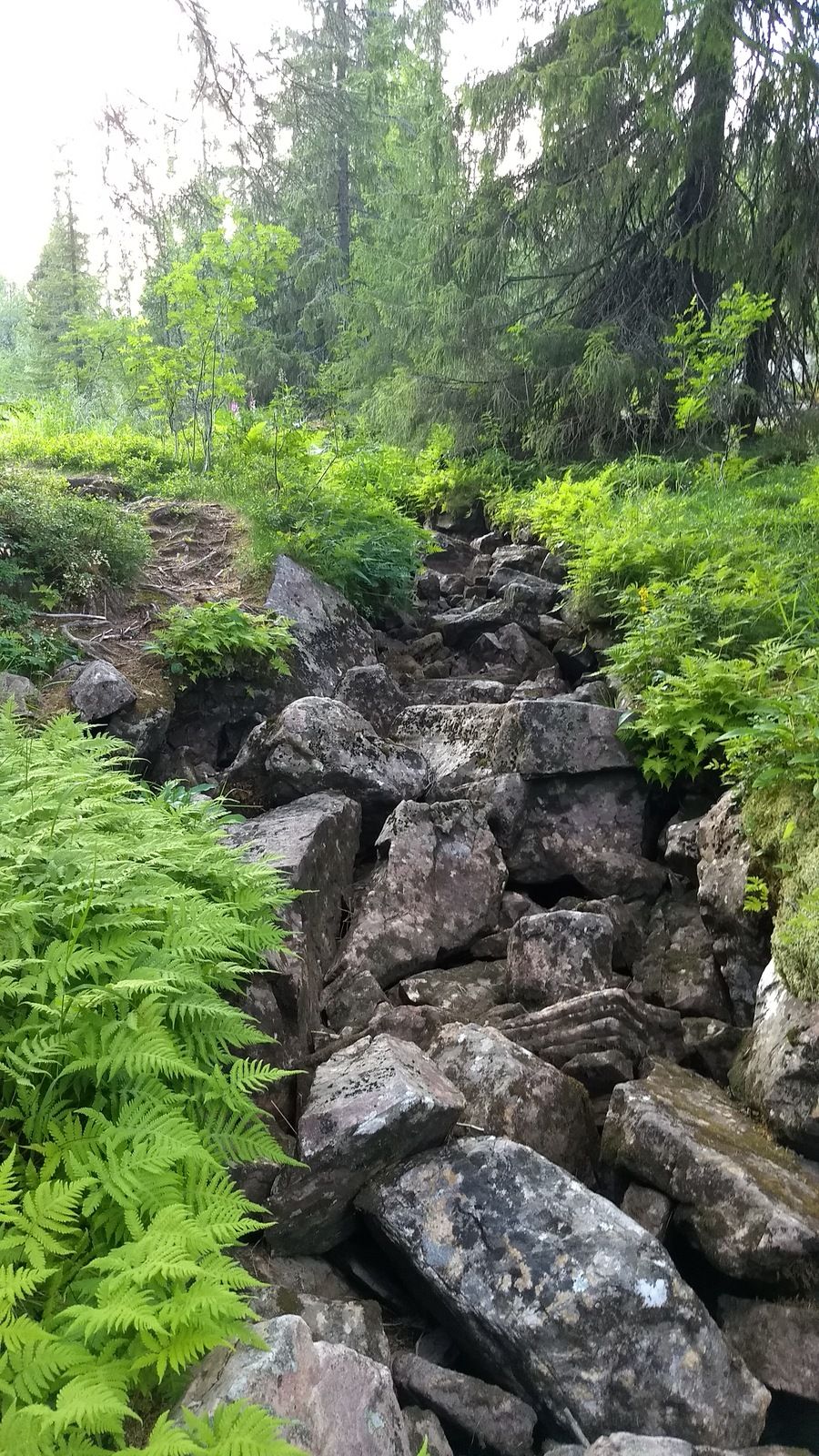 IMG_20180720_200903597.jpg