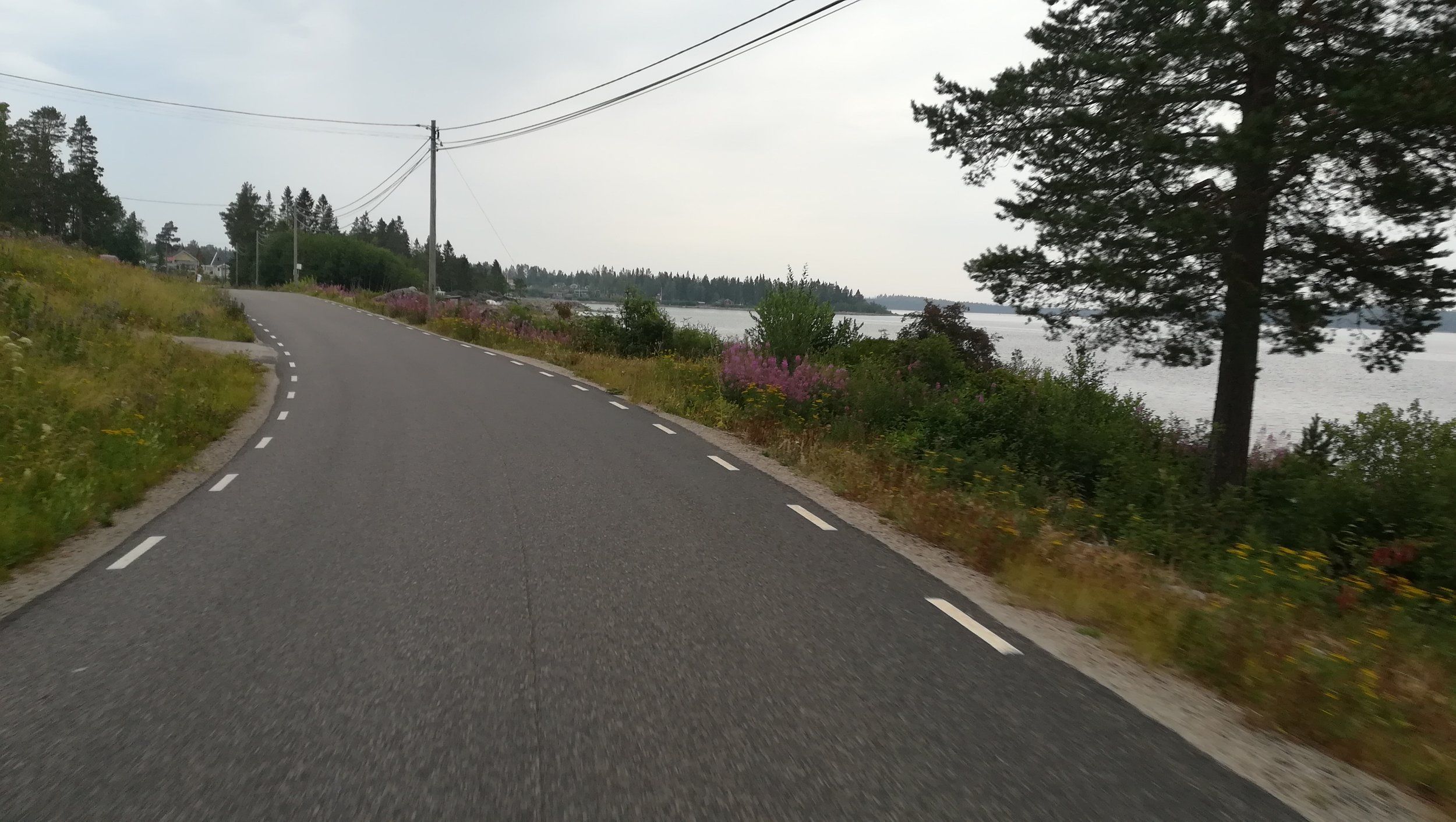 IMG_20180721_062900.jpg