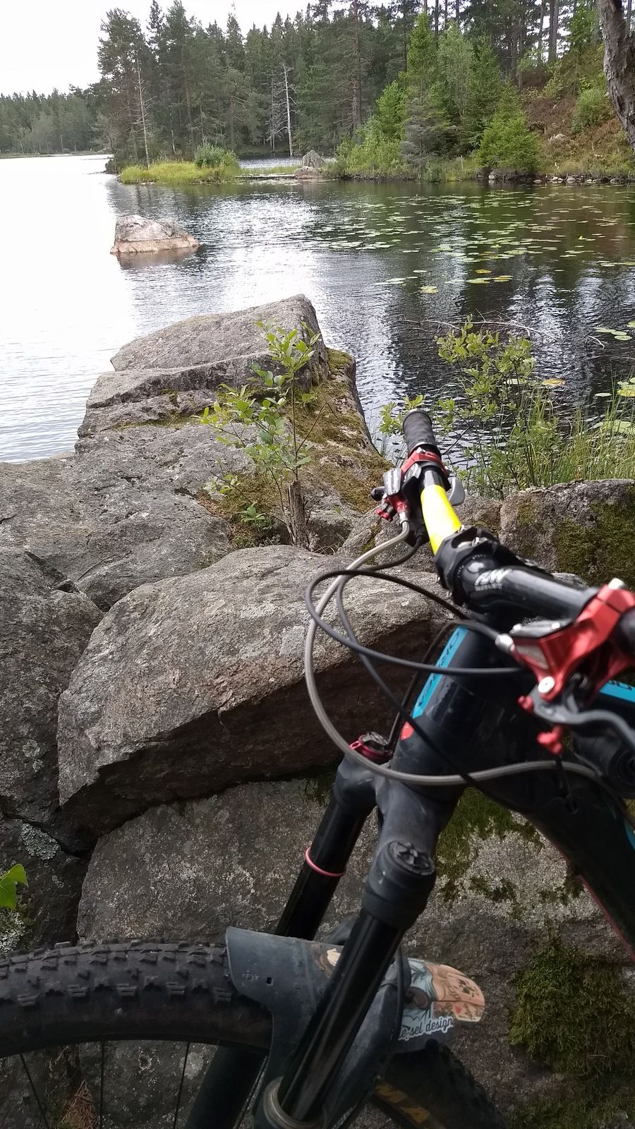 IMG_20180817_151917776.jpg