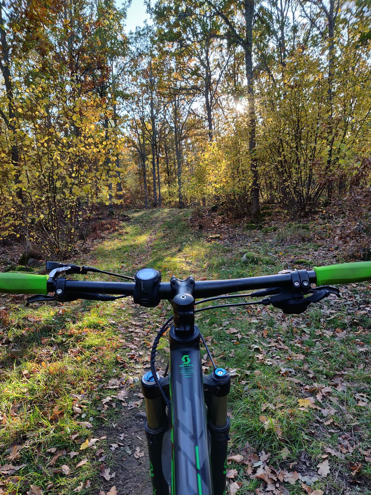IMG_20181012_155256.jpg