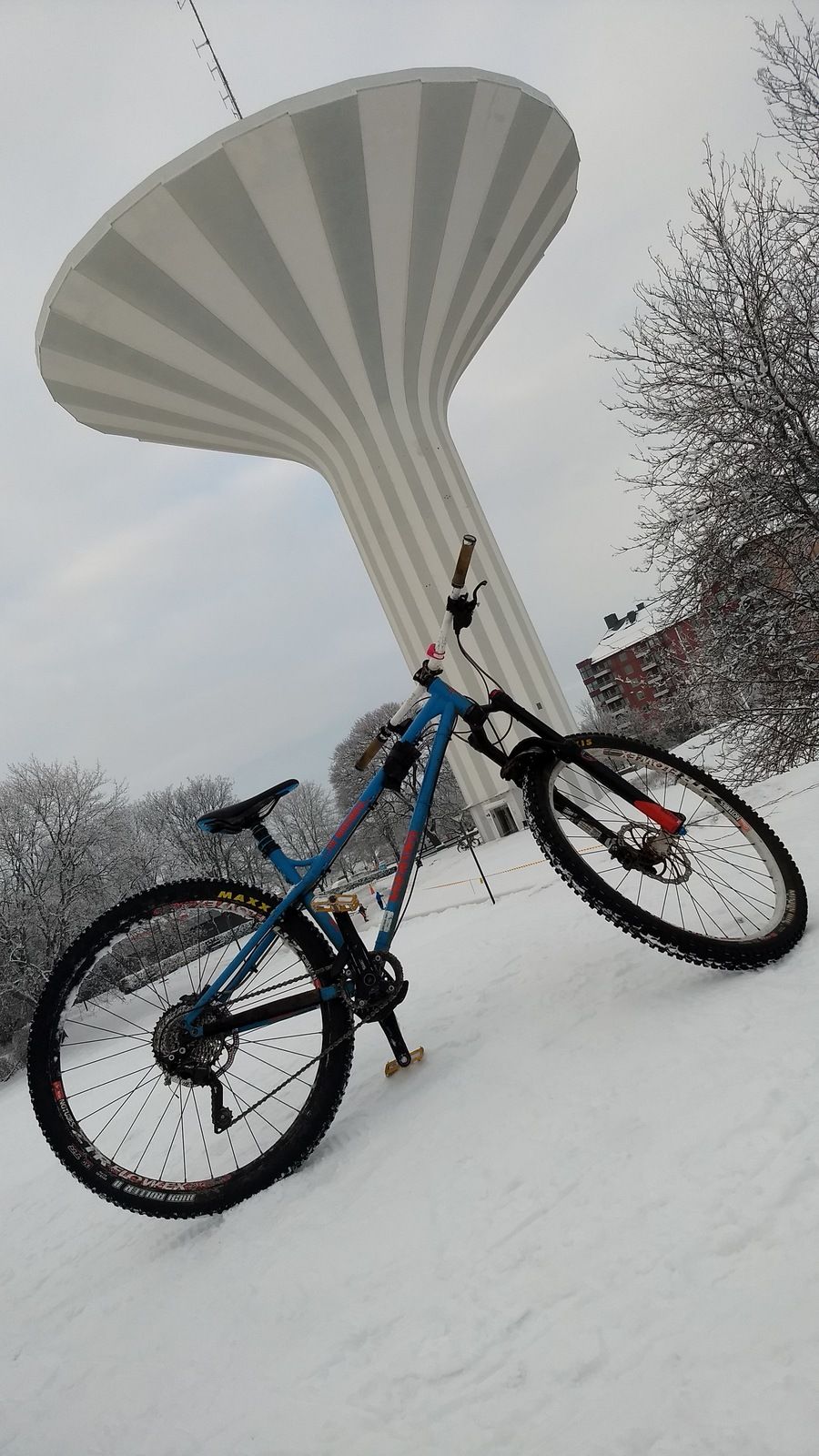 IMG_20190125_144517419.jpg