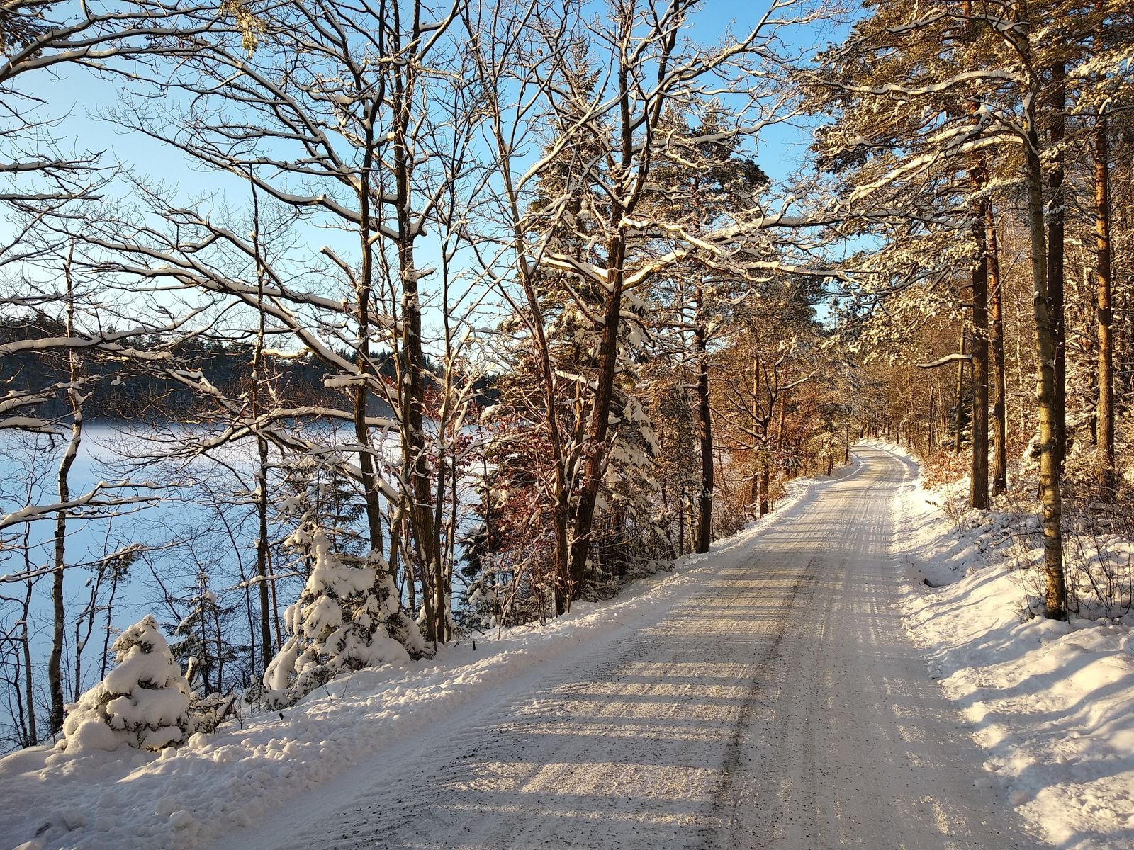 IMG_20190129_153614.jpg