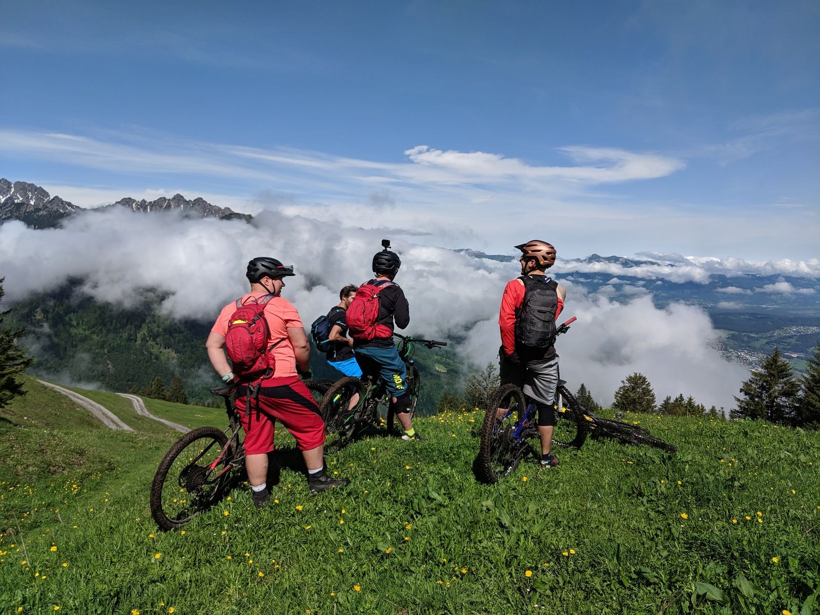 IMG_20190611_102137.jpg