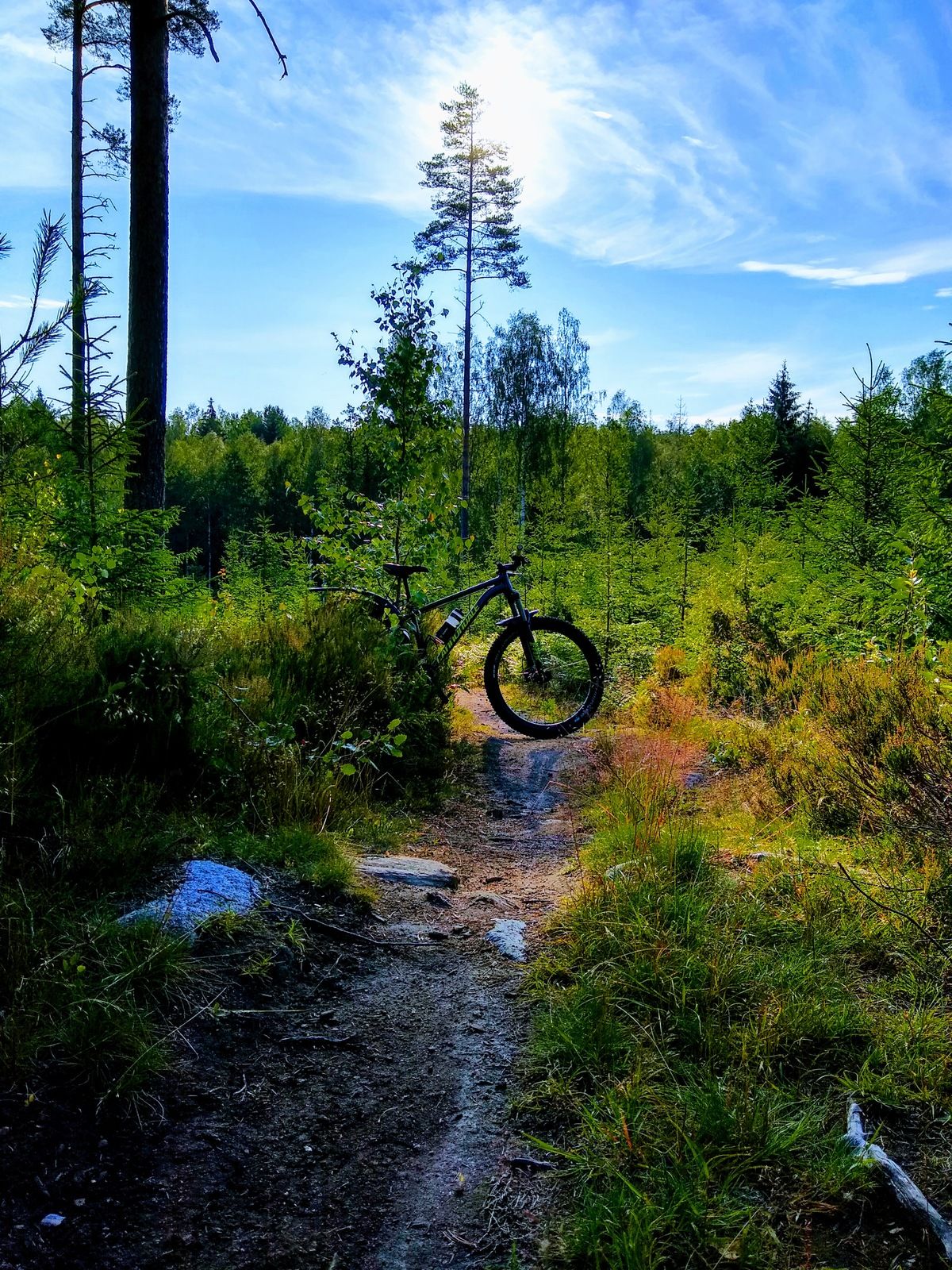 IMG_20190710_073239725_HDR2.jpg