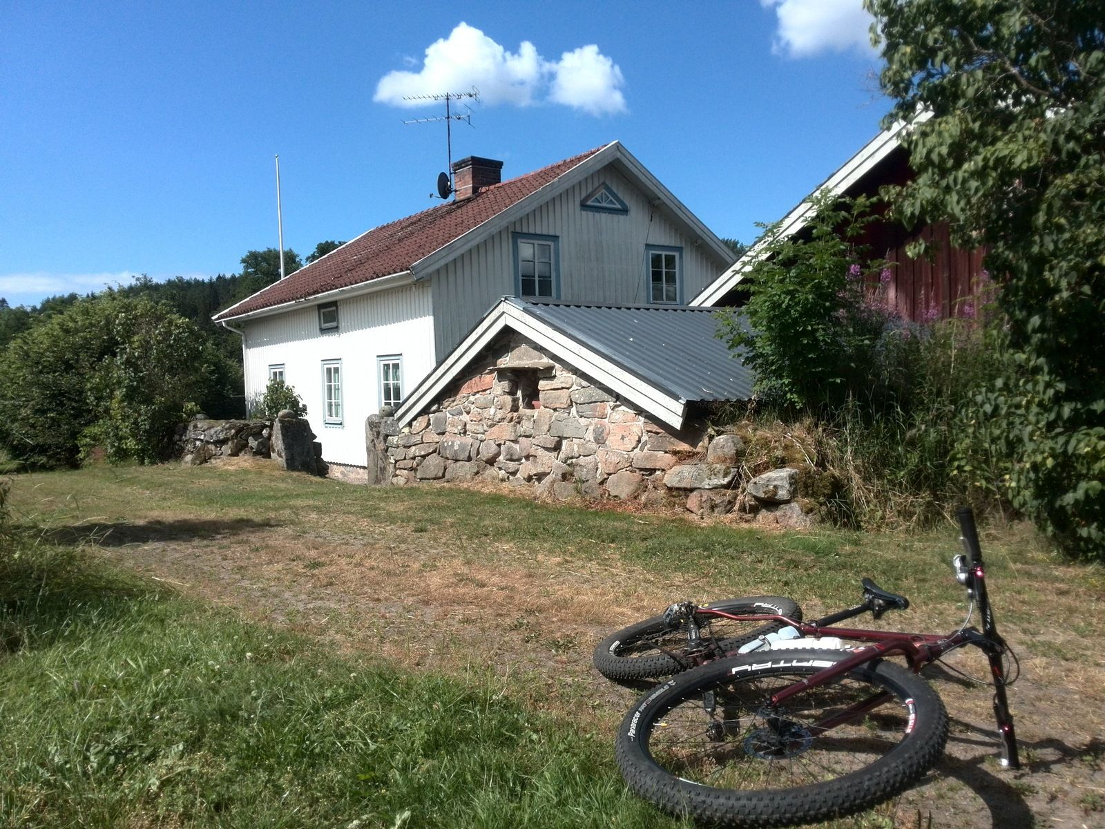IMG_20190718_113414.jpg