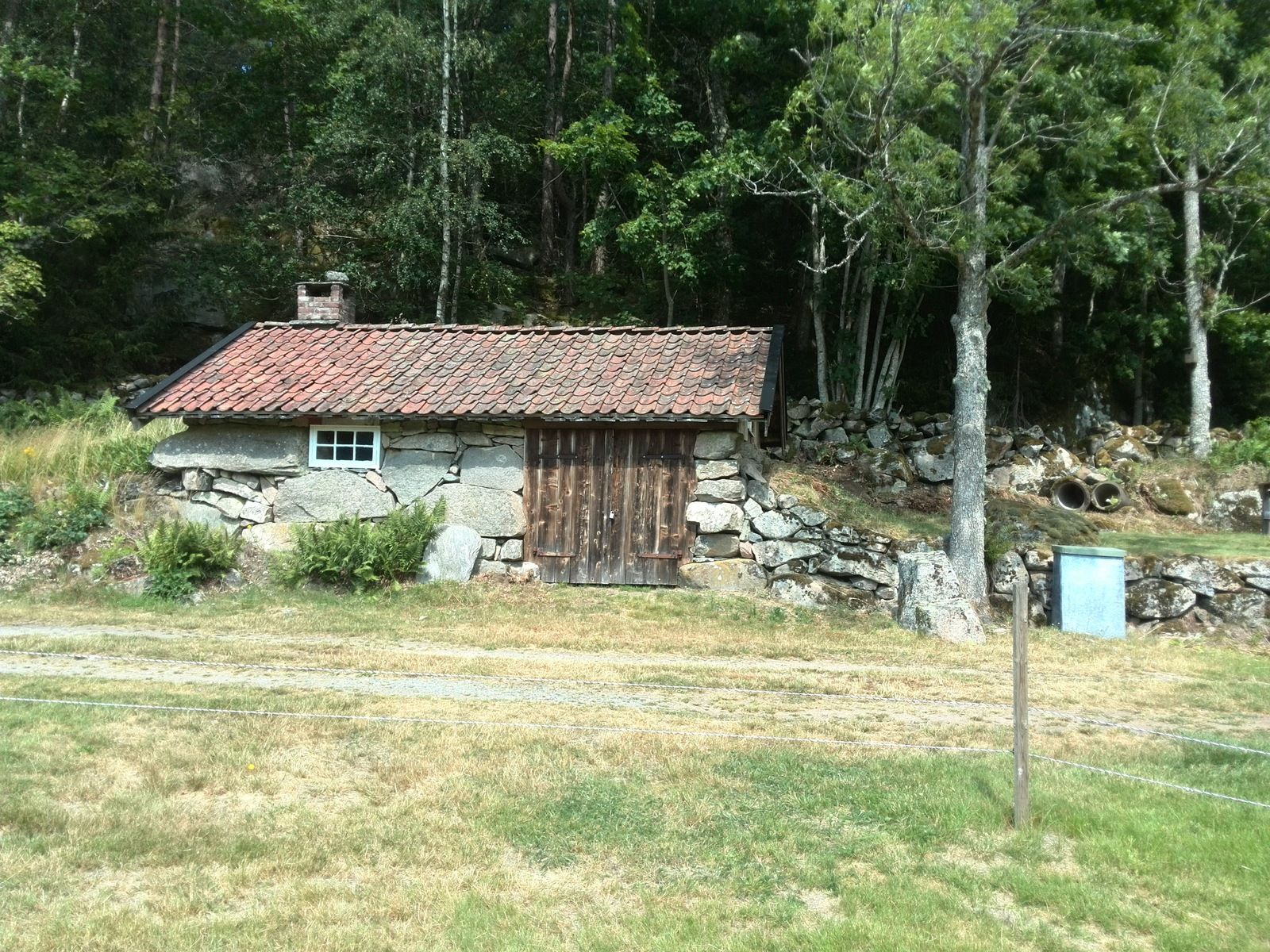 IMG_20190718_124738.jpg