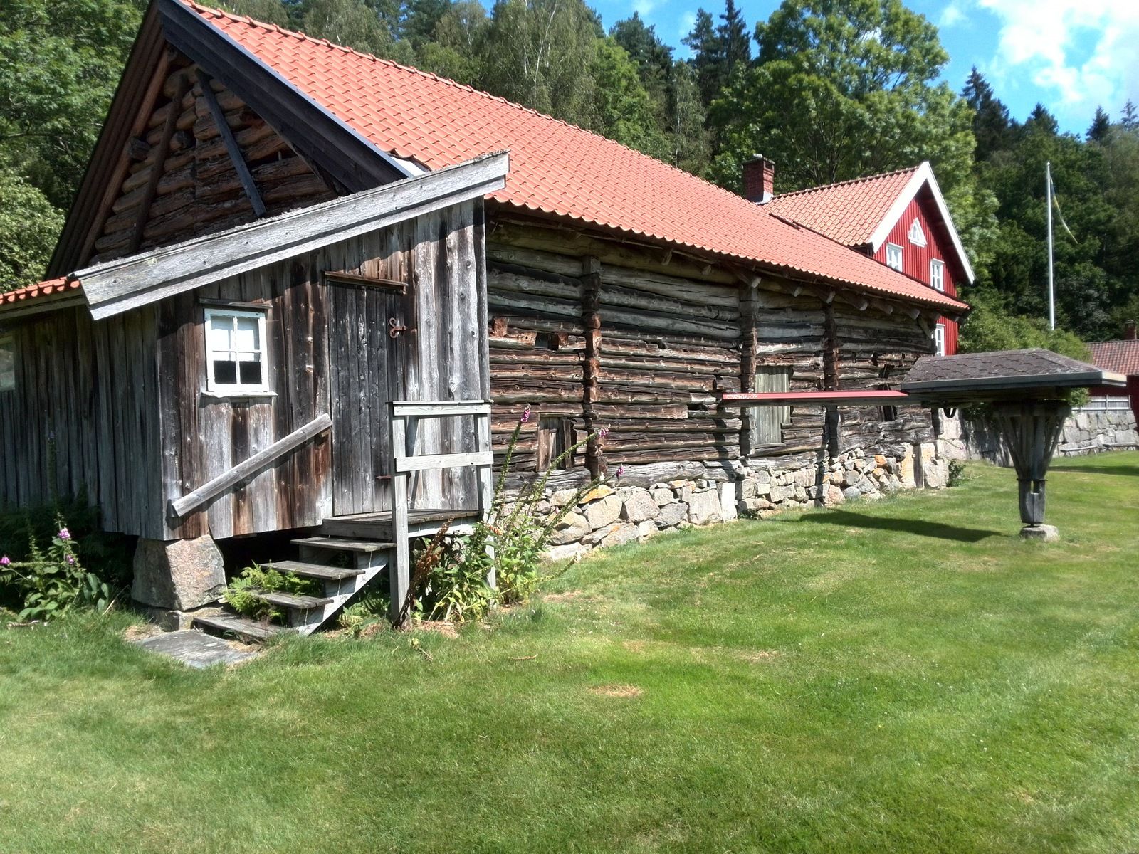 IMG_20190718_124808.jpg