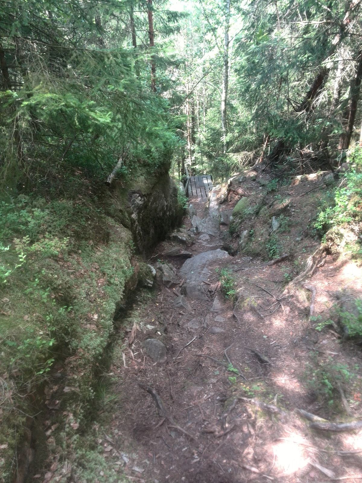 IMG_20190718_143745.jpg