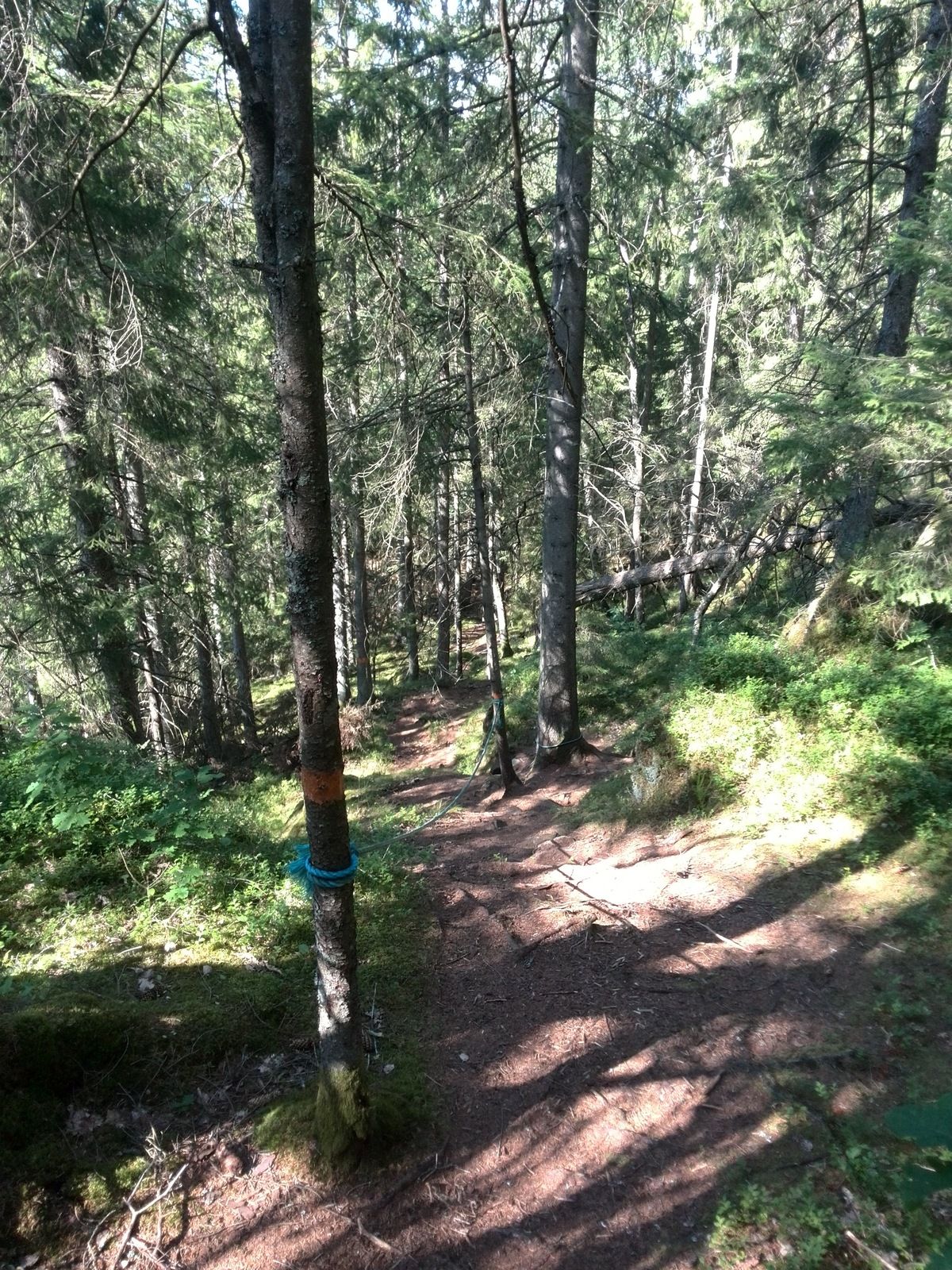 IMG_20190718_163251.jpg