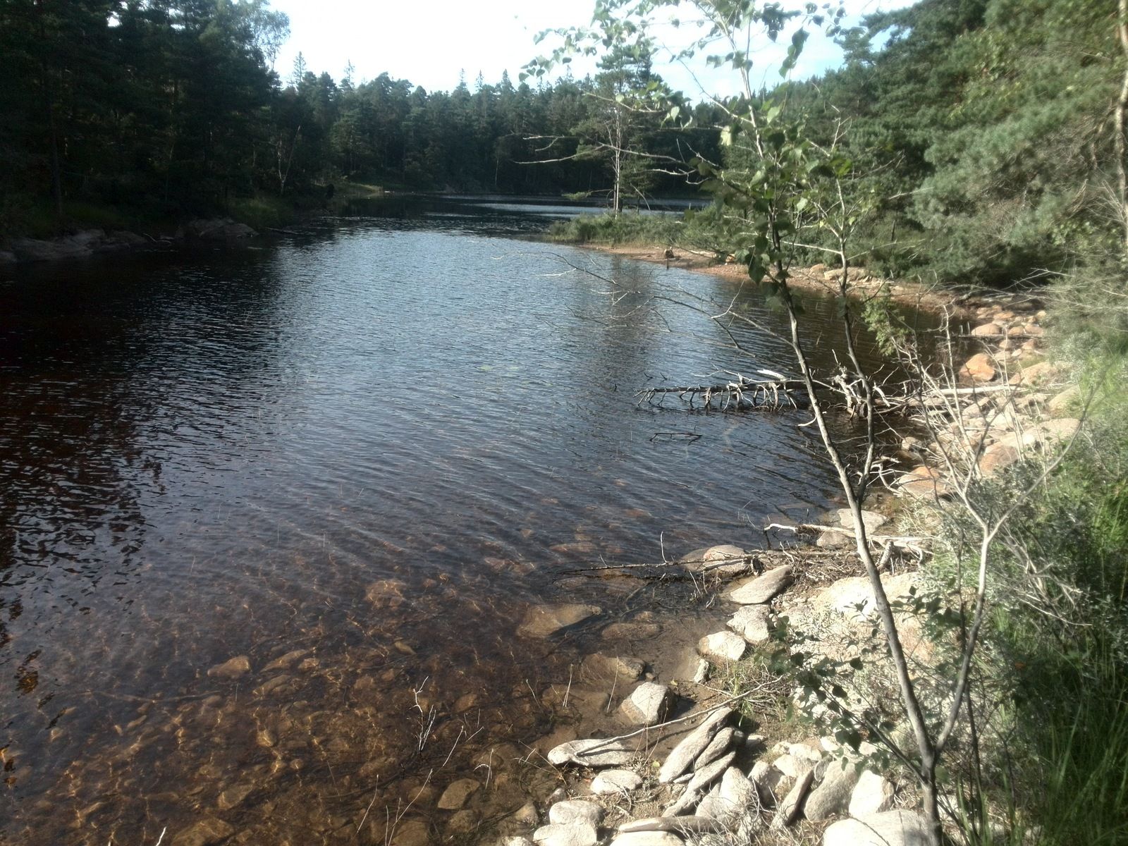 IMG_20190809_171428.jpg