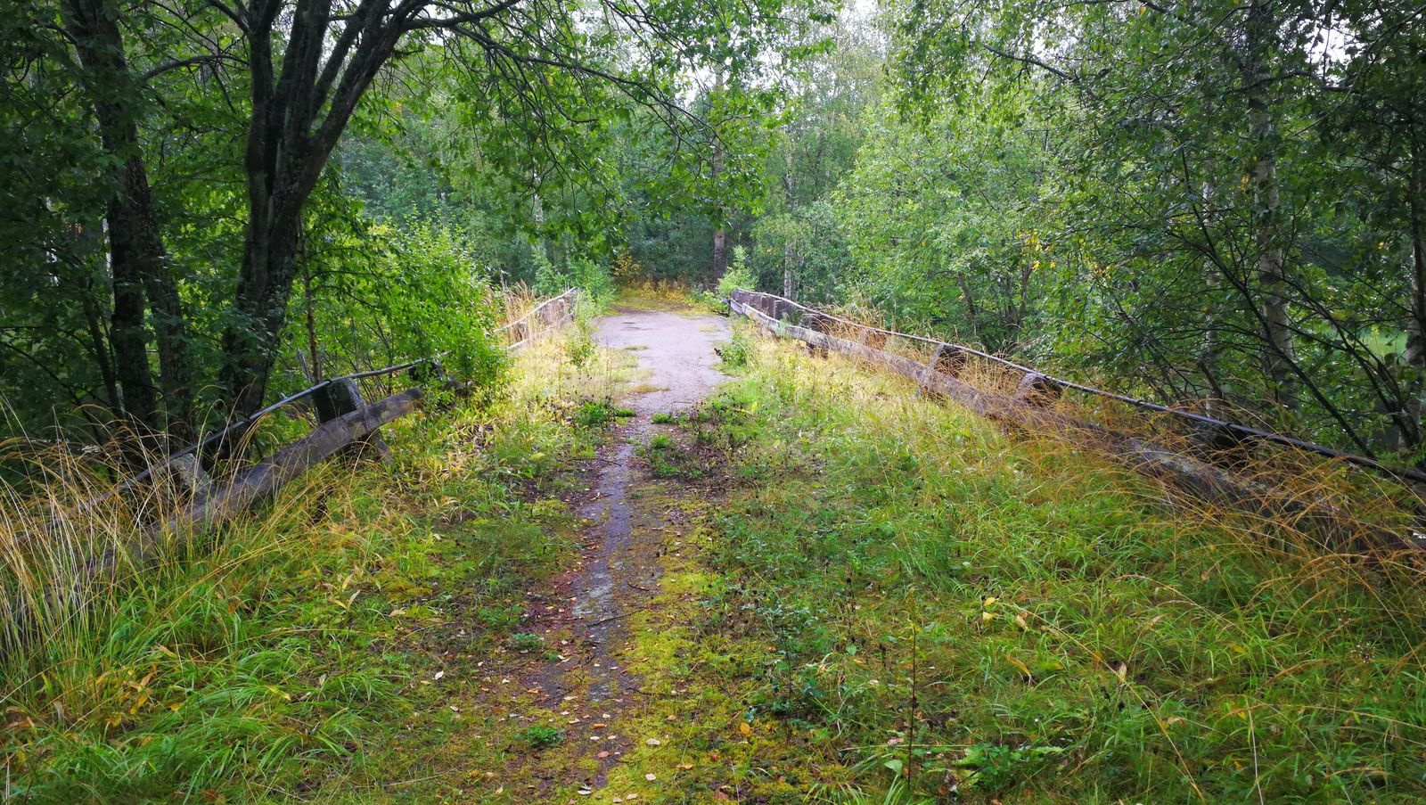 IMG_20190901_161513.jpg
