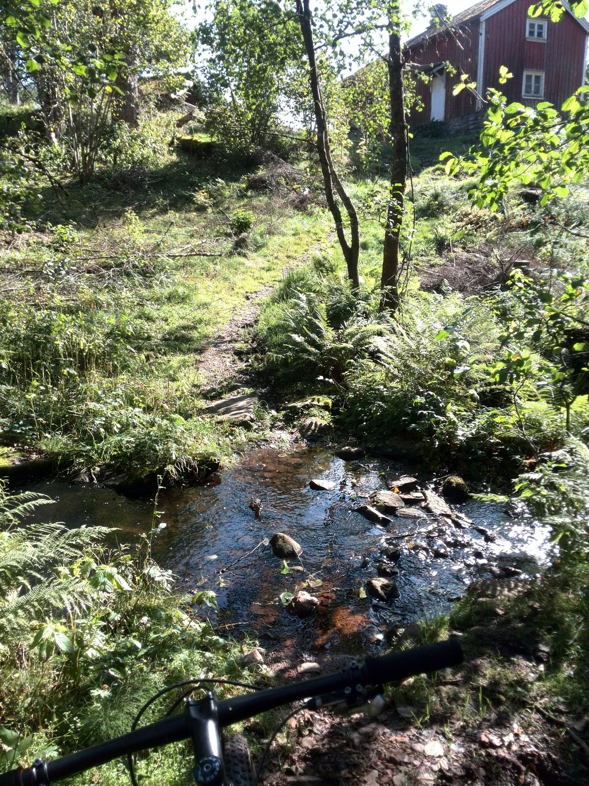 IMG_20190918_124054.jpg