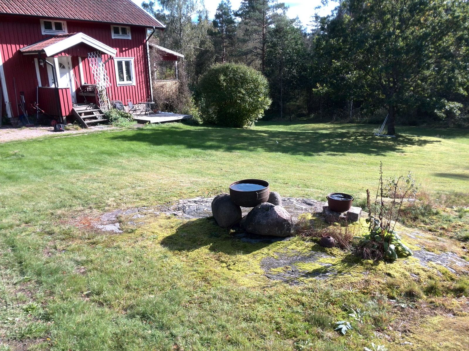 IMG_20190918_145611.jpg