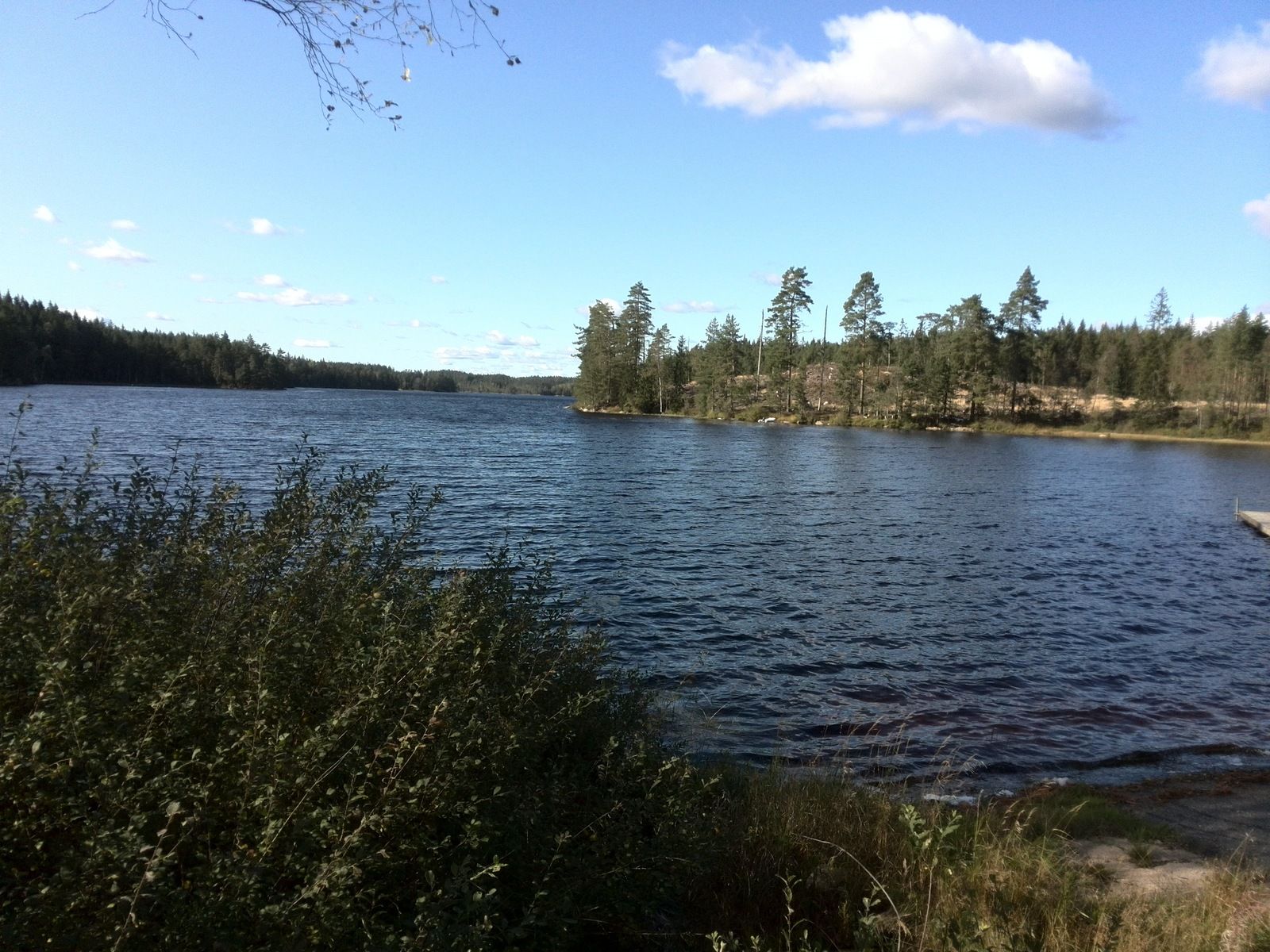 IMG_20190918_150532.jpg