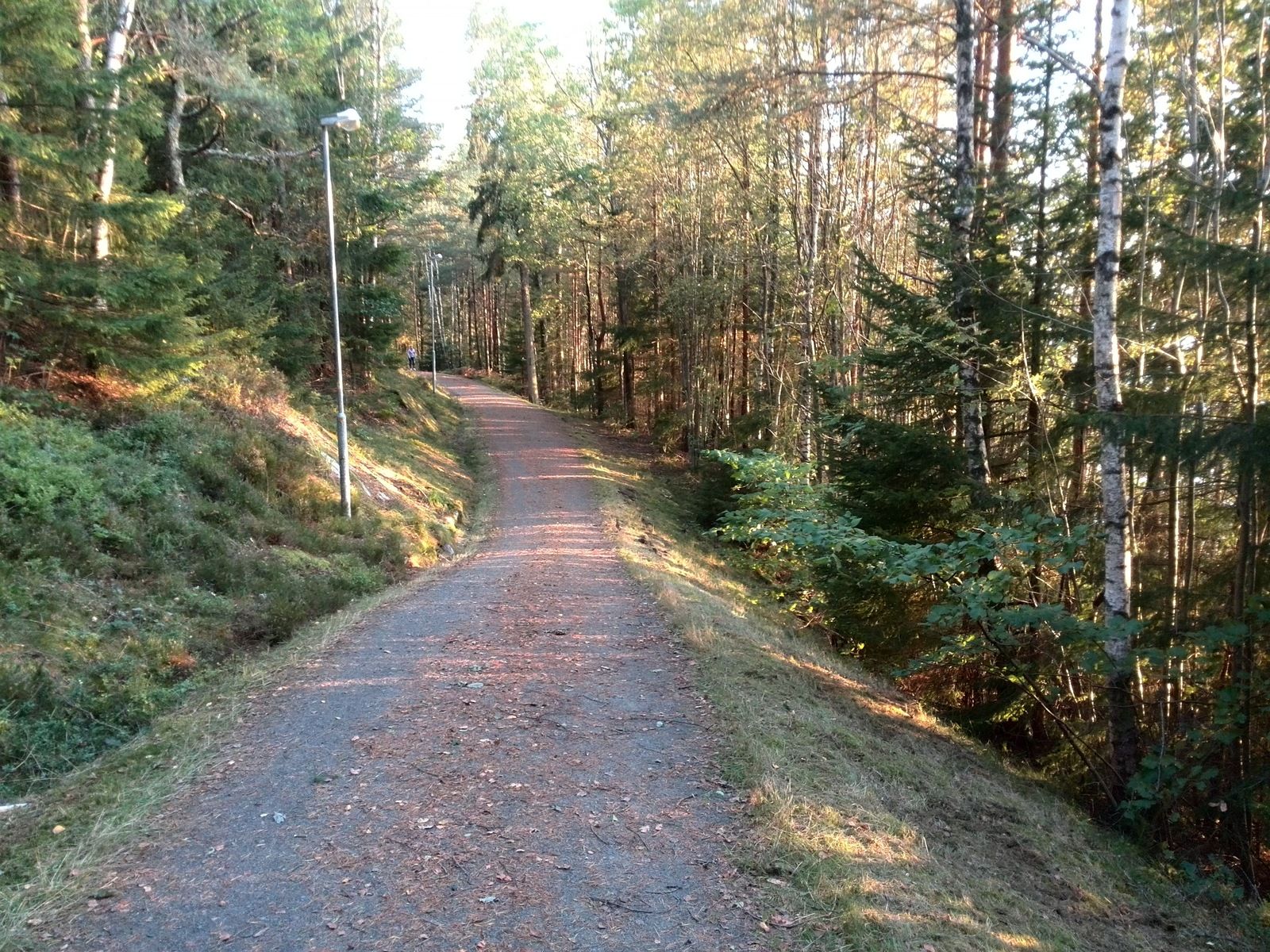 IMG_20190918_184548.jpg