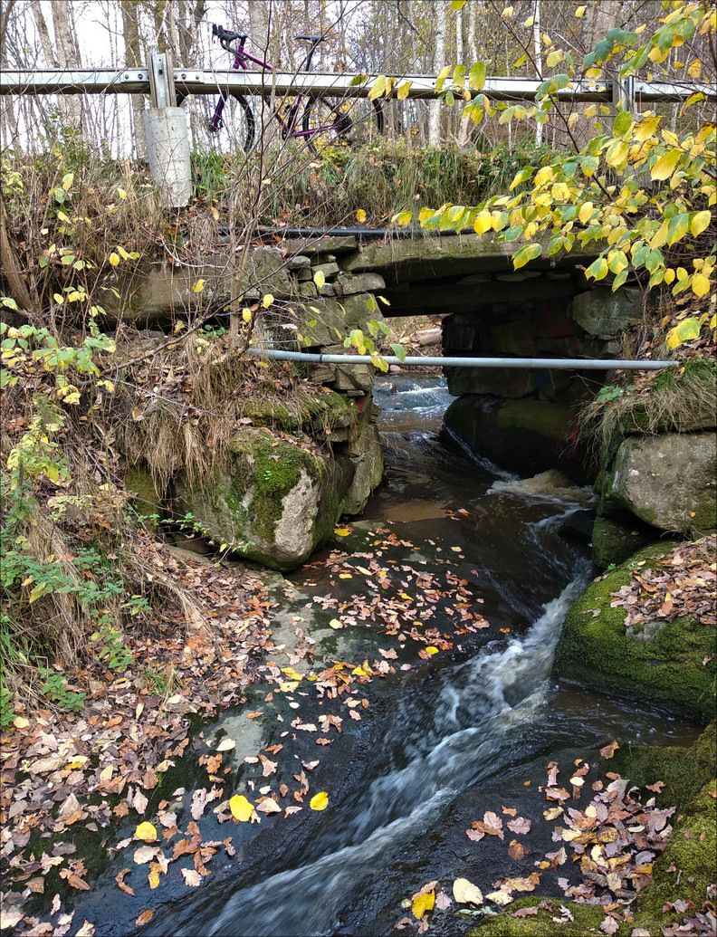 IMG_20191023_161043.jpg