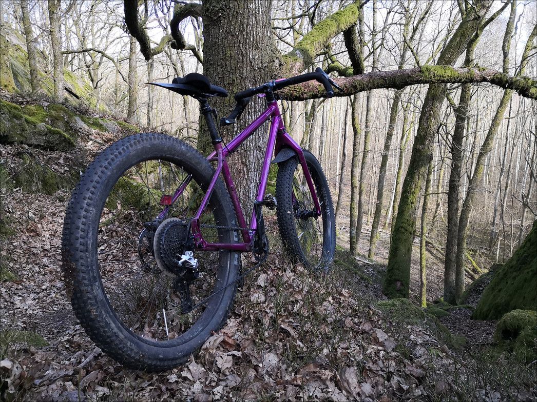 IMG_20200403_152227.jpg