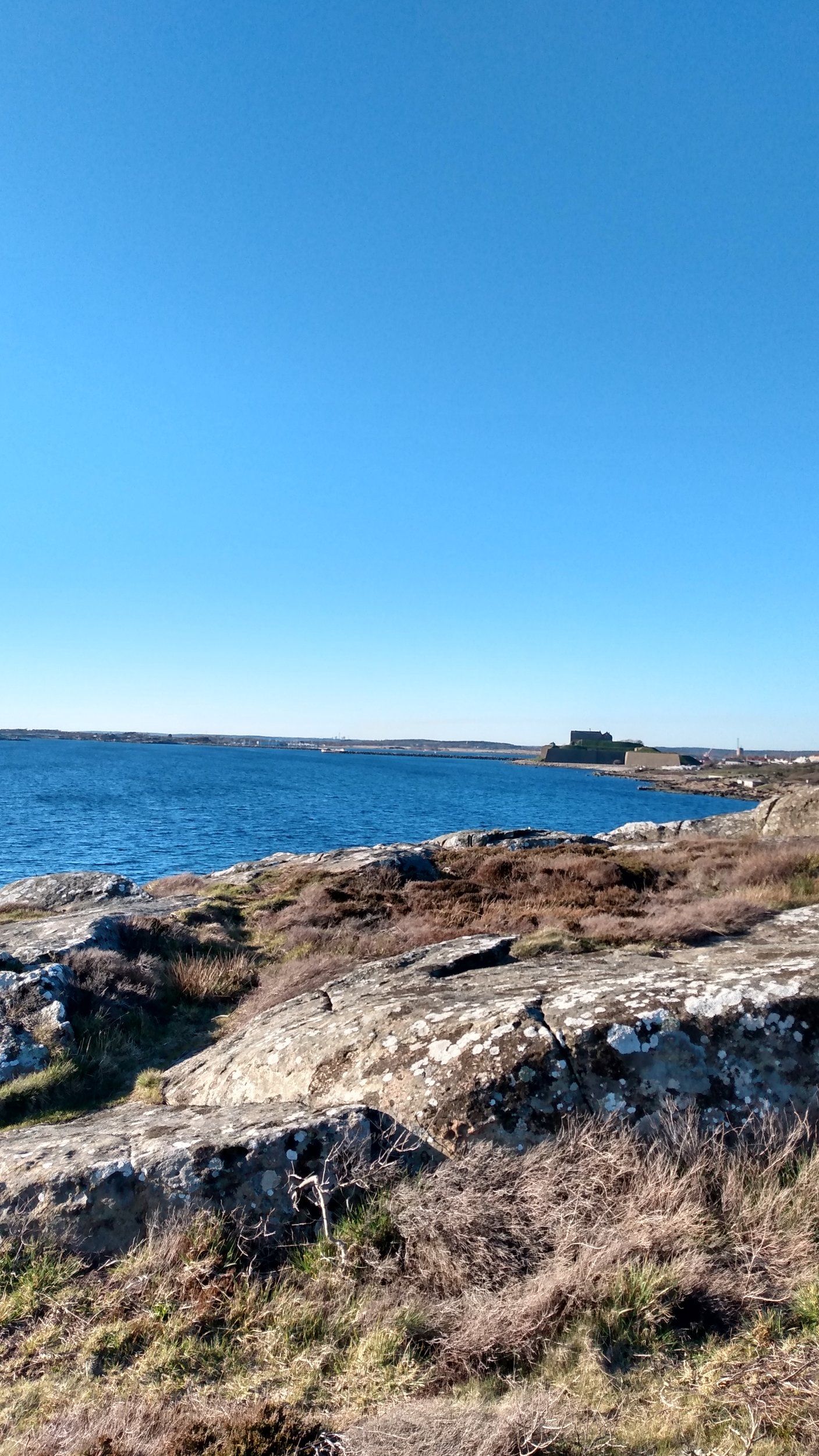 IMG_20200422_183609750_HDR.jpg