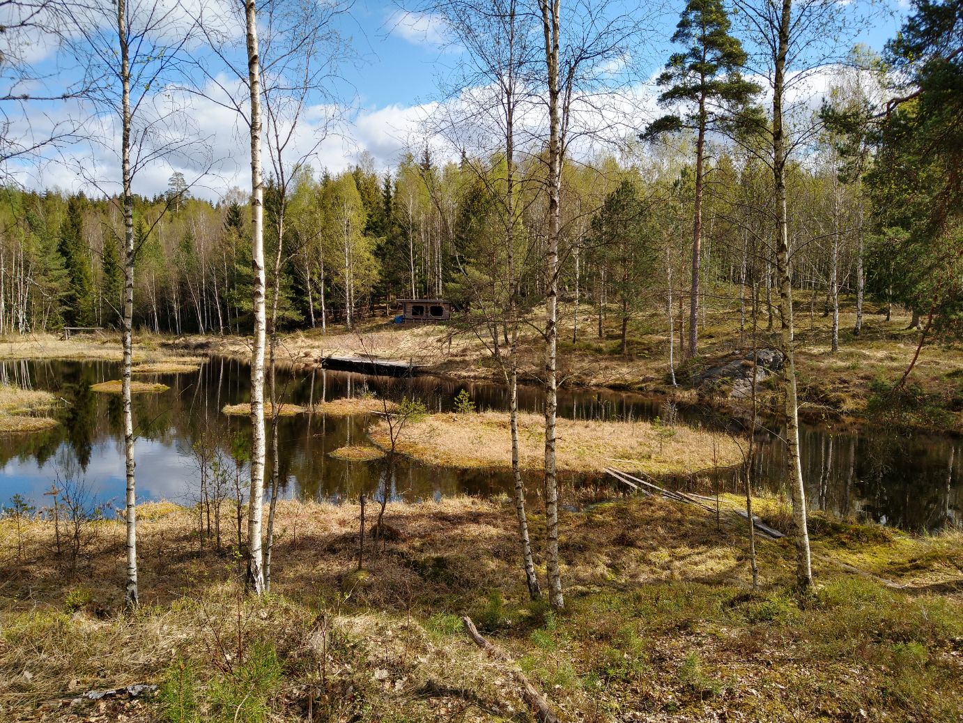 IMG_20200425_114358825_HDR.jpg