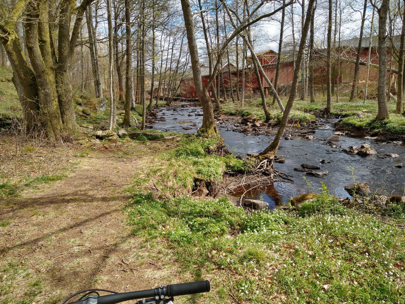 IMG_20200425_115956646_HDR.jpg