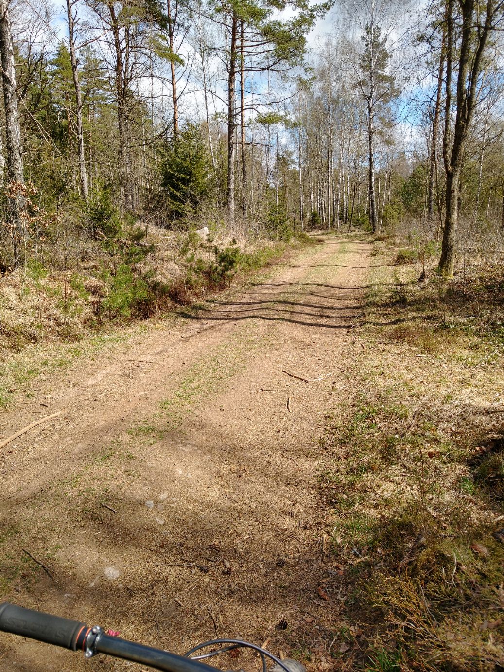 IMG_20200425_121426385_HDR.jpg